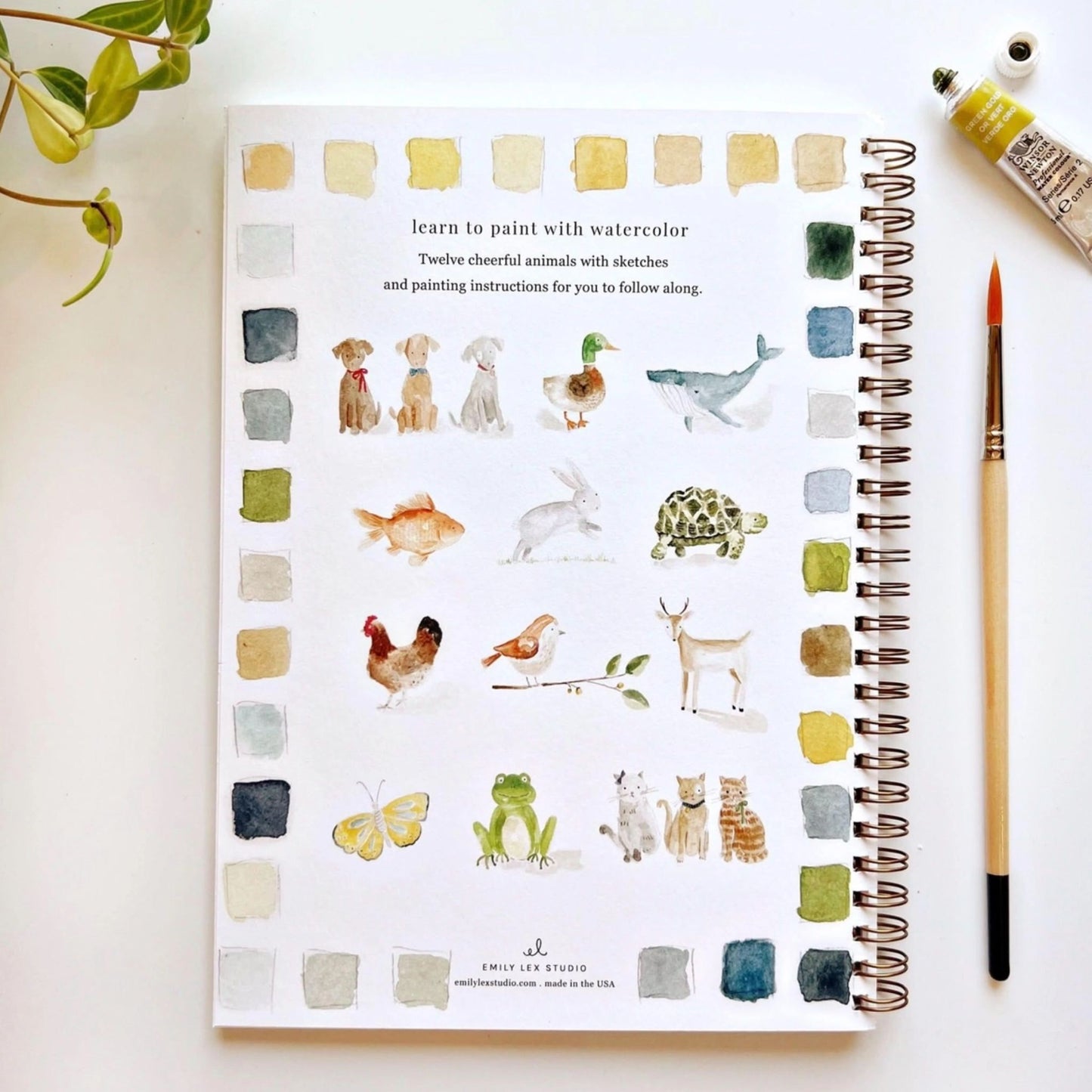 Animal Watercolor Book Emily Lex