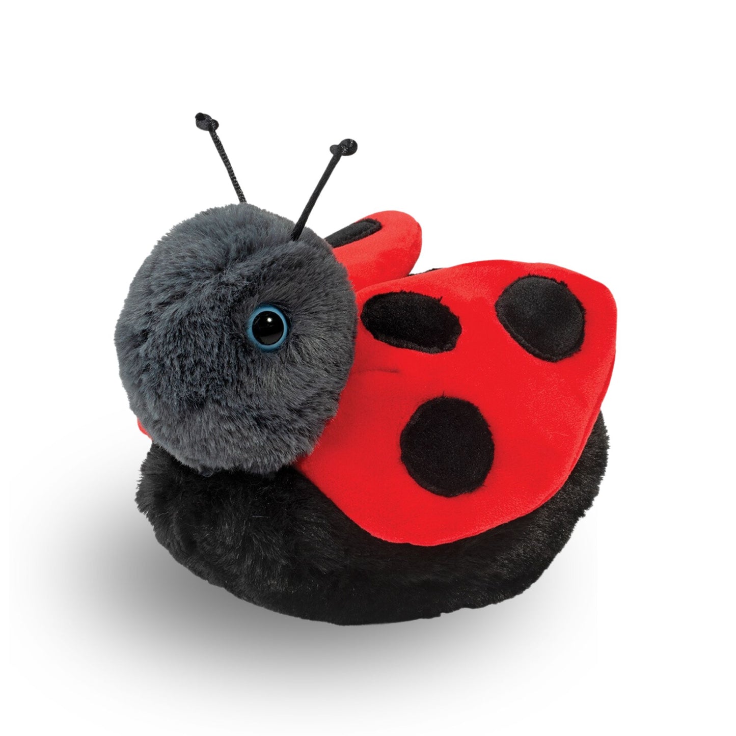 Bert the Ladybug