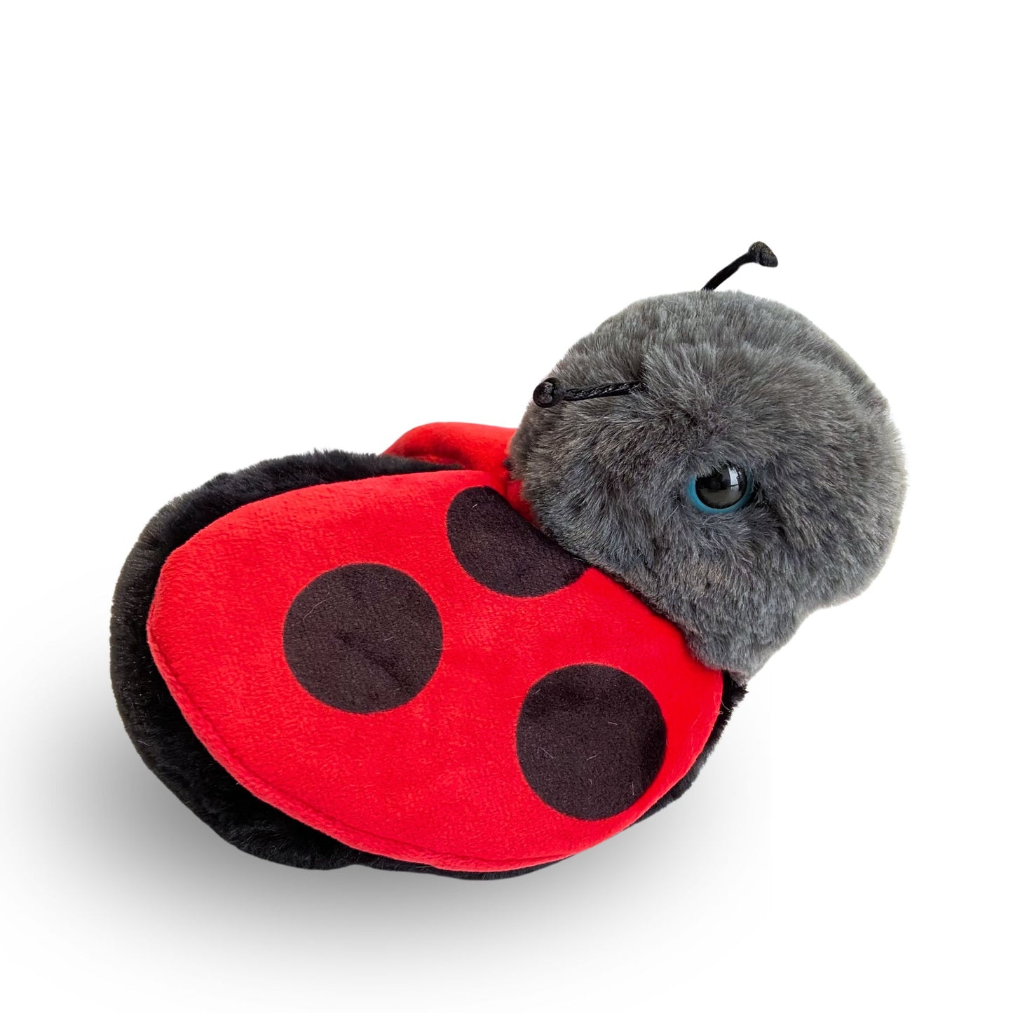 Bert the Red and Black Ladybug