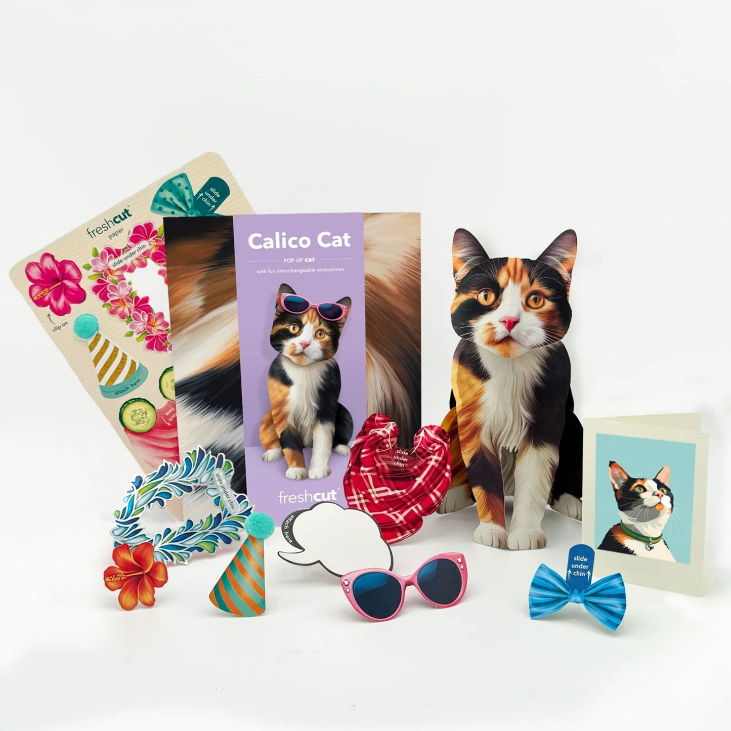 Calico Cat pop up card