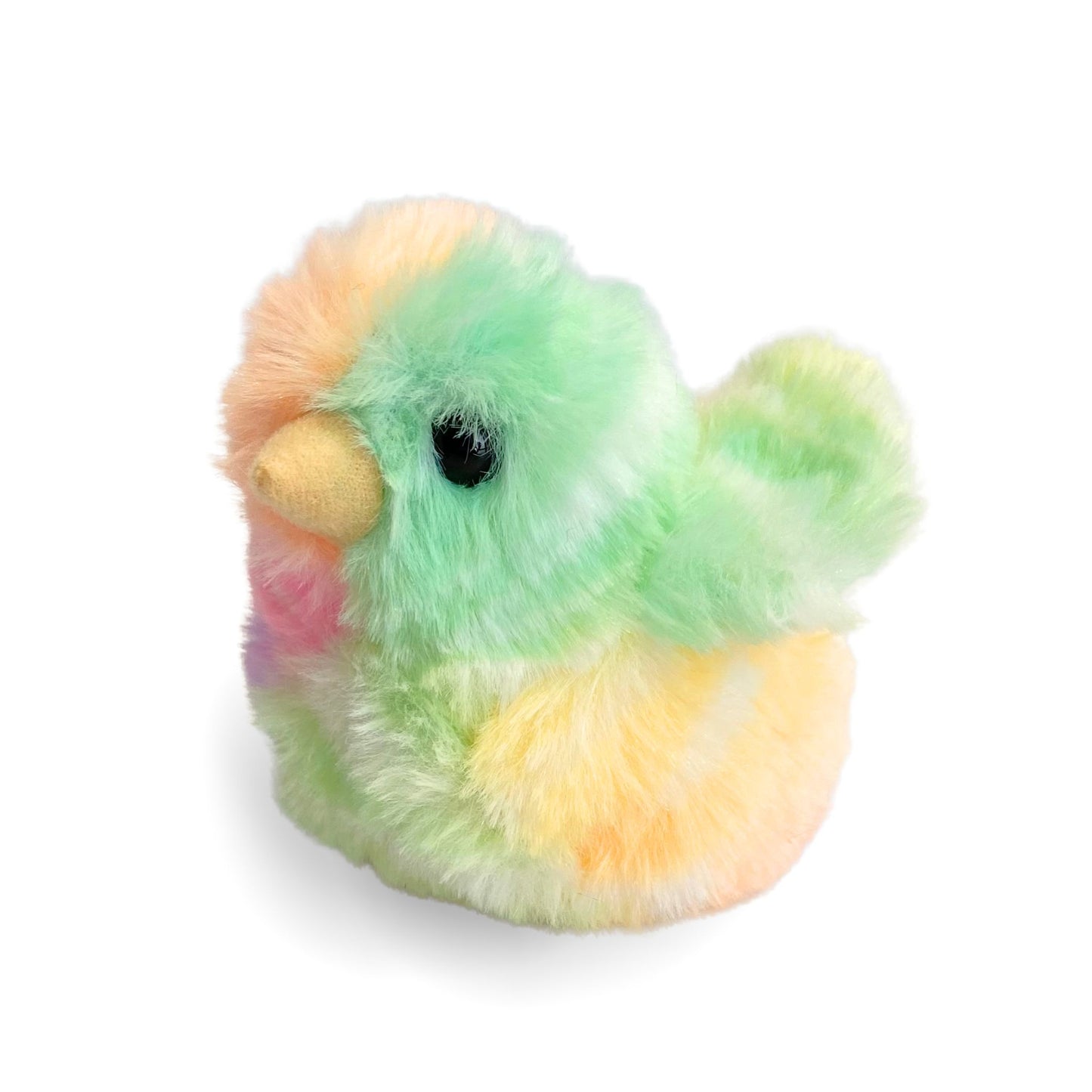 Easter Rainbow Spring Baby Chick