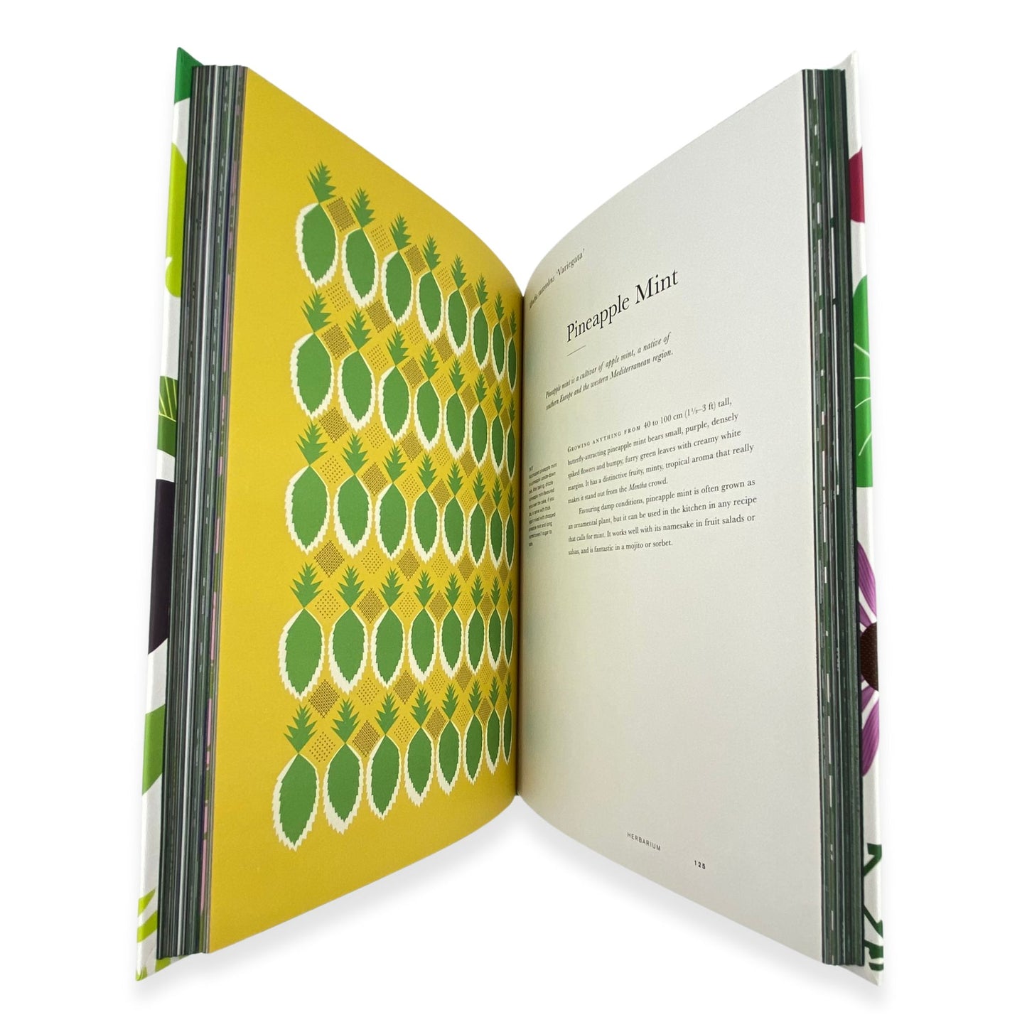 Herbarium plant and Herb book