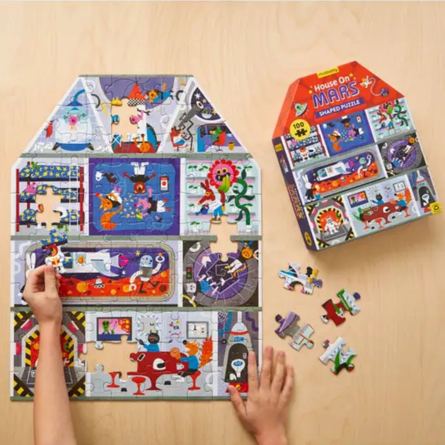 House on Mars Space Puzzle