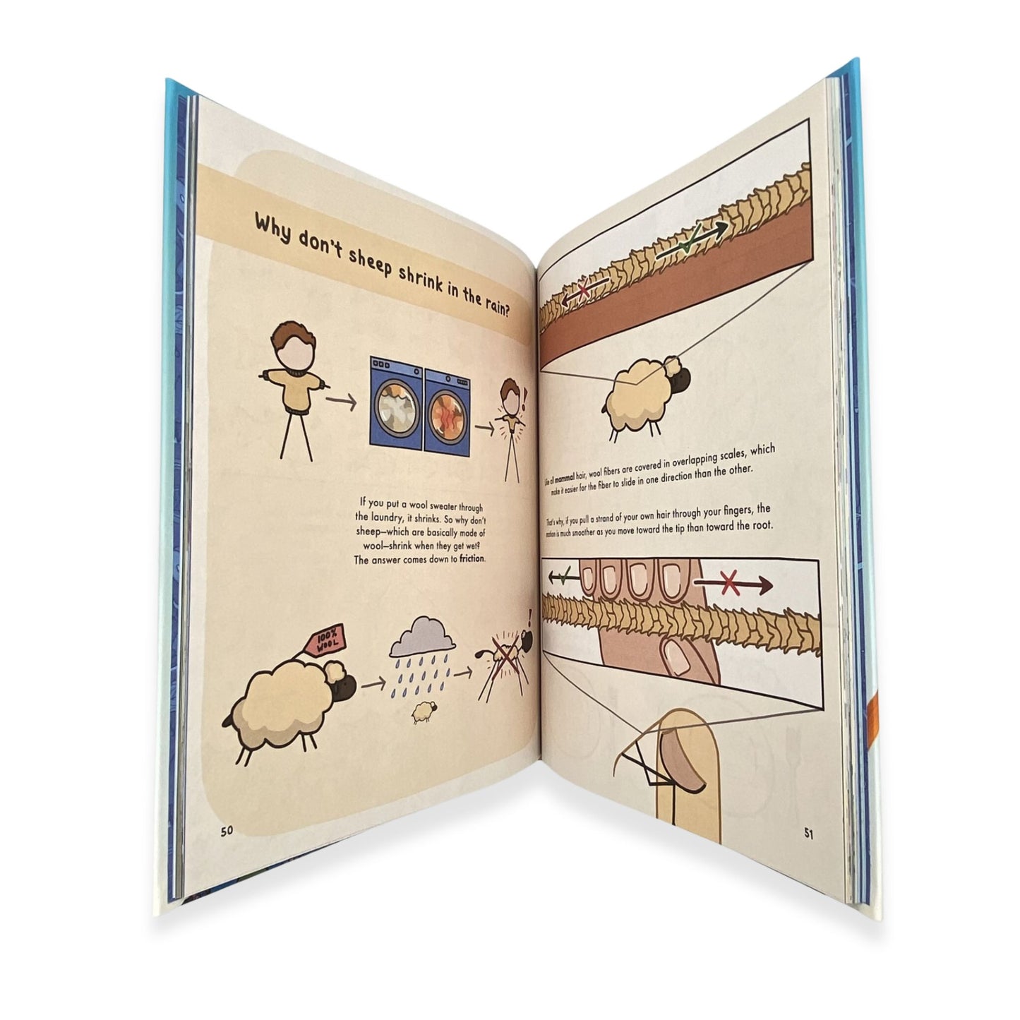 How did whales get so big educational book