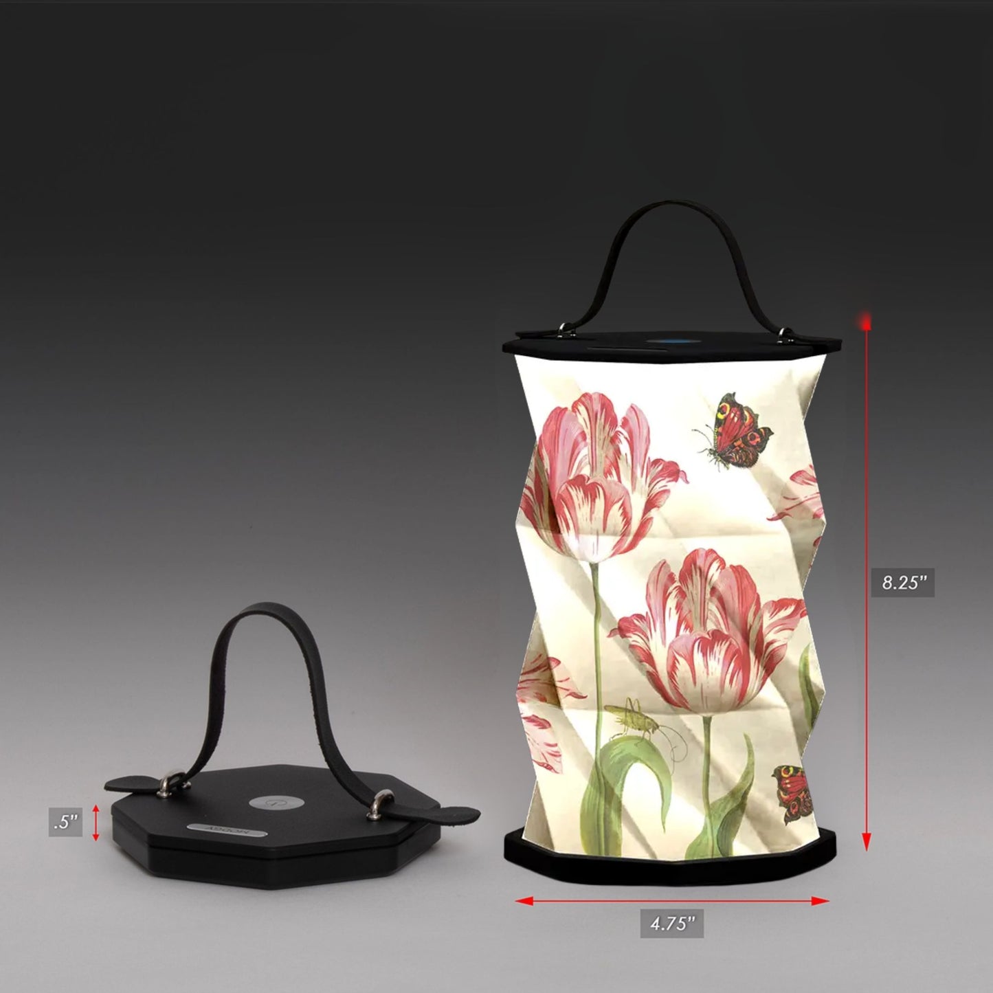 Origami Lantern - Jacob Marrell Tulips