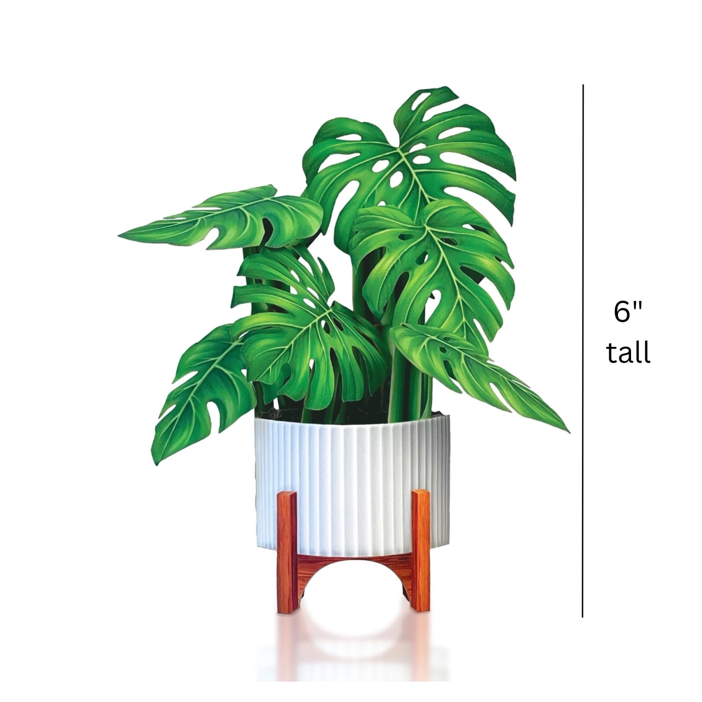 Monstera poper Bouquet Card