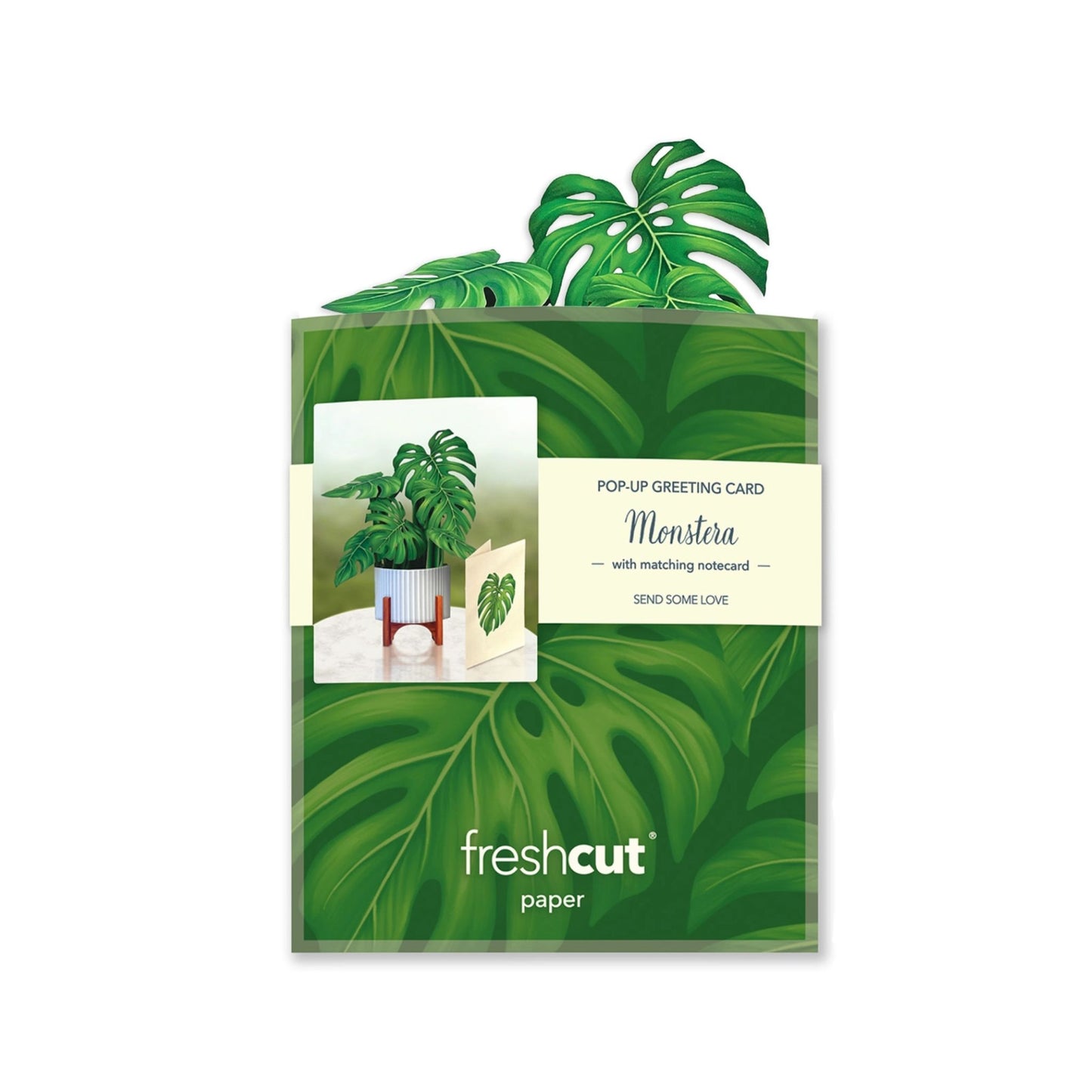 Monstera pop up green house plant greeting card