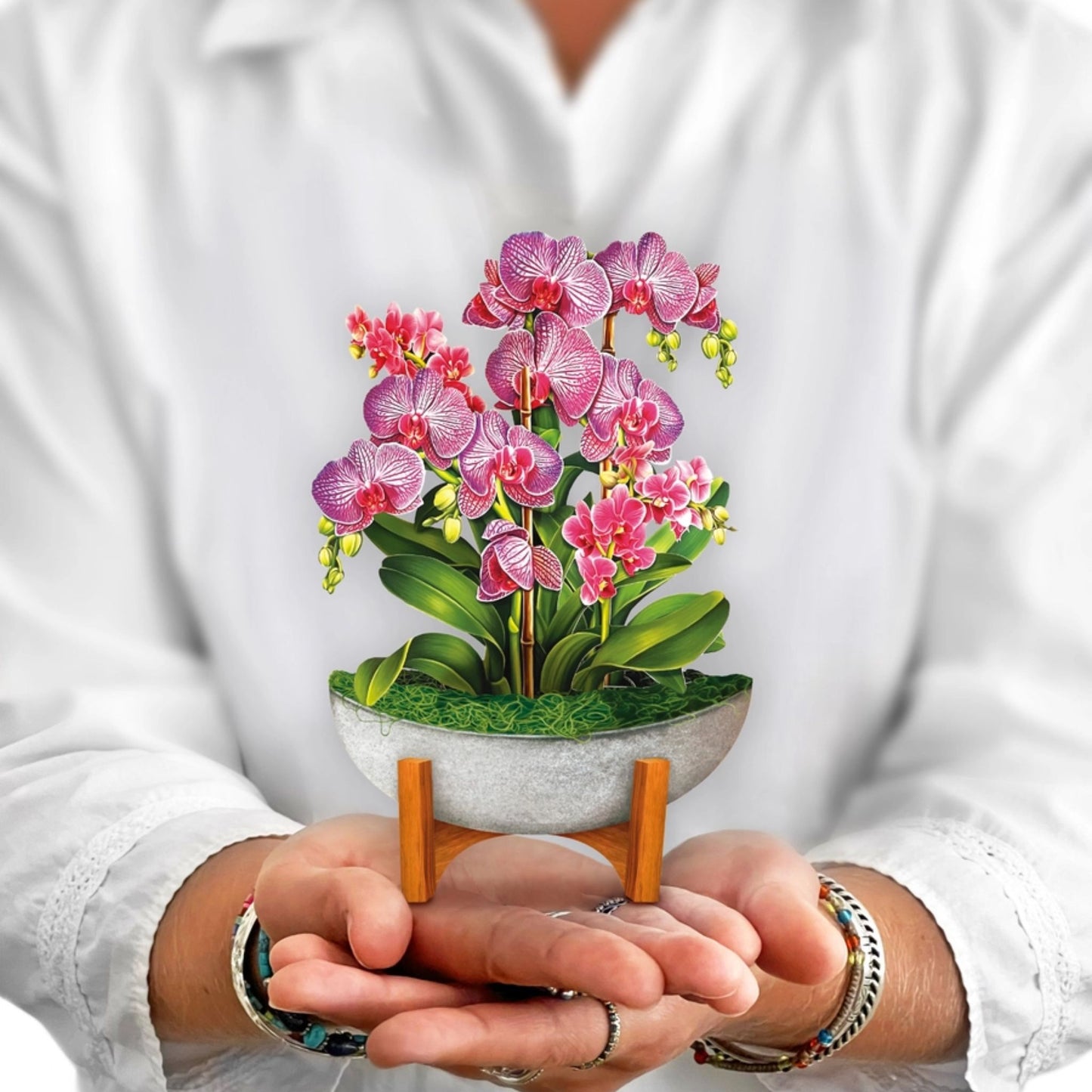 Orchid Oasis - Mini card