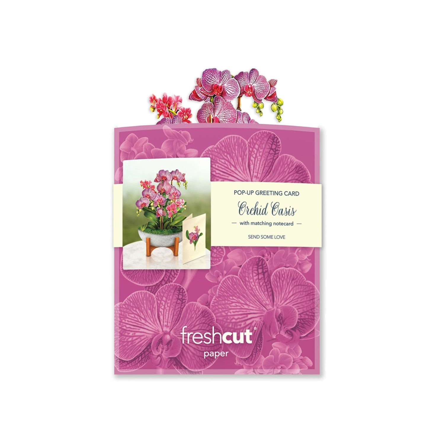 Orchid Oasis pop-up flower card