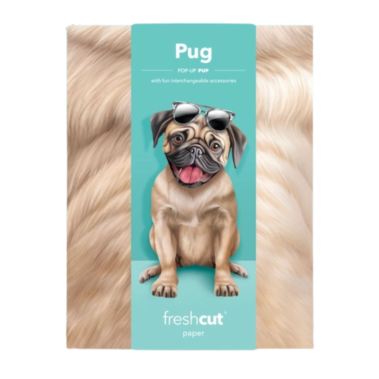 Pug pop up cards with accessories