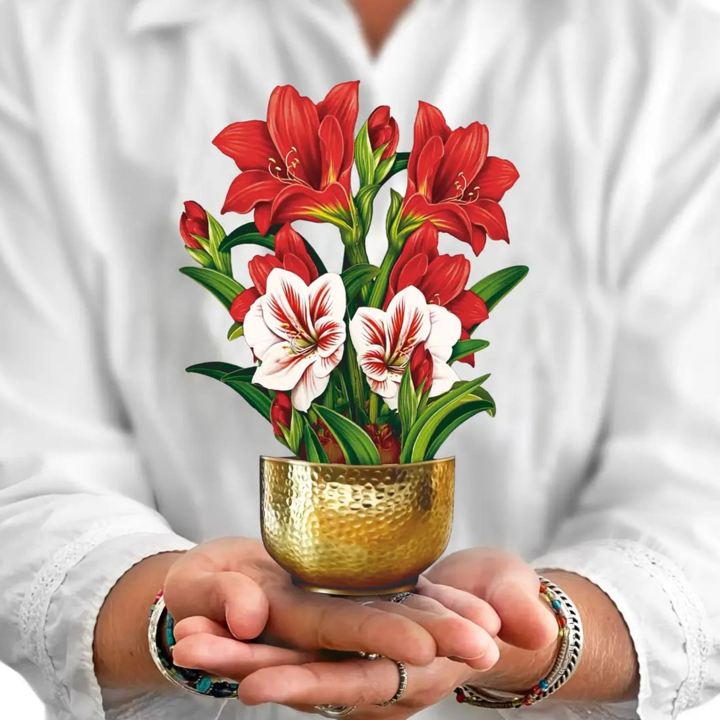 Scarlett Amaryllis - mini card