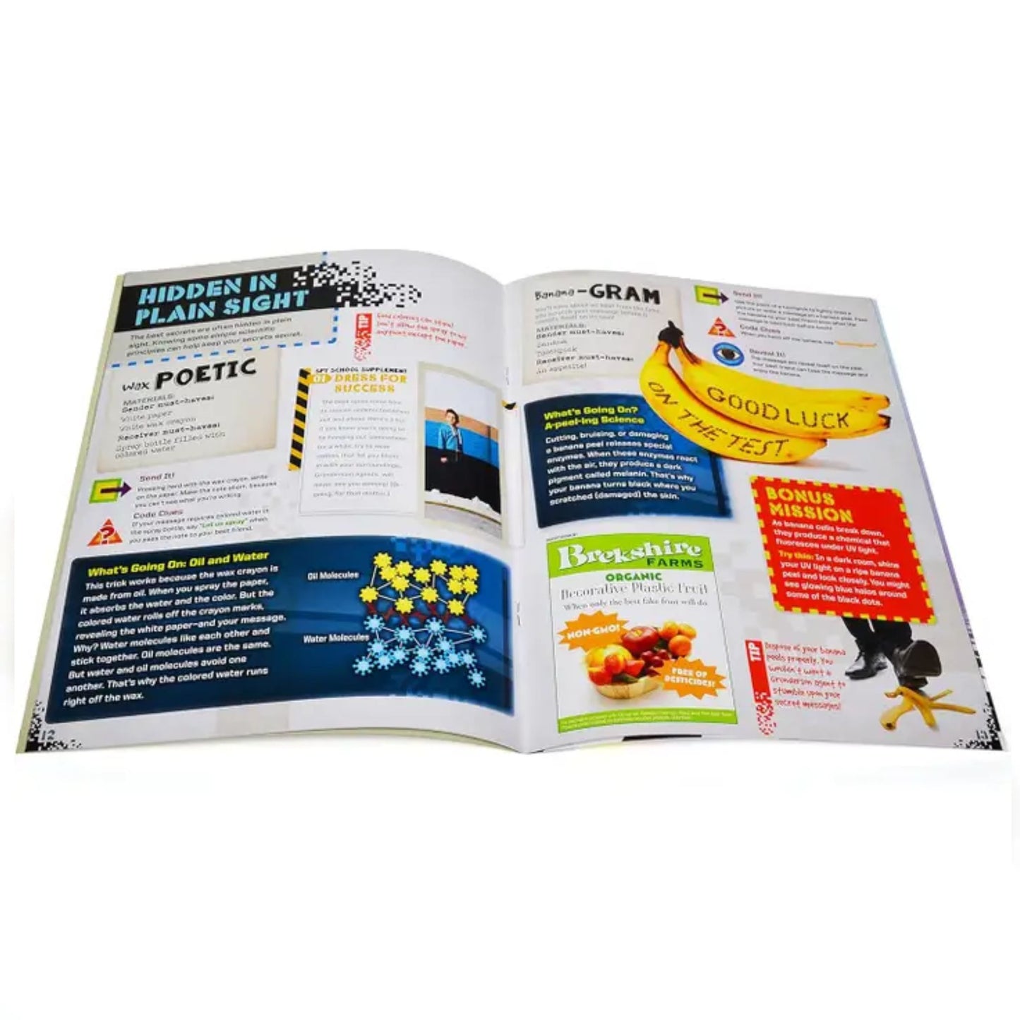 Spy School Science Activity