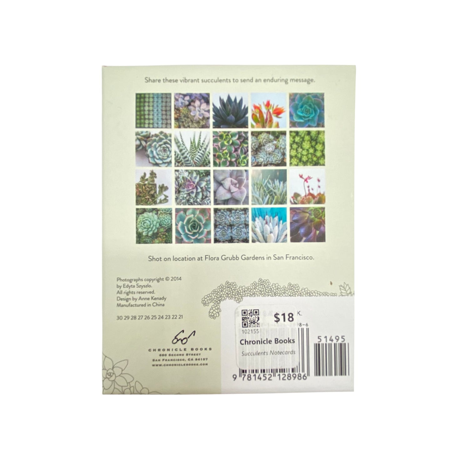 succulents Note Dard Boxed Set - 24 Cards