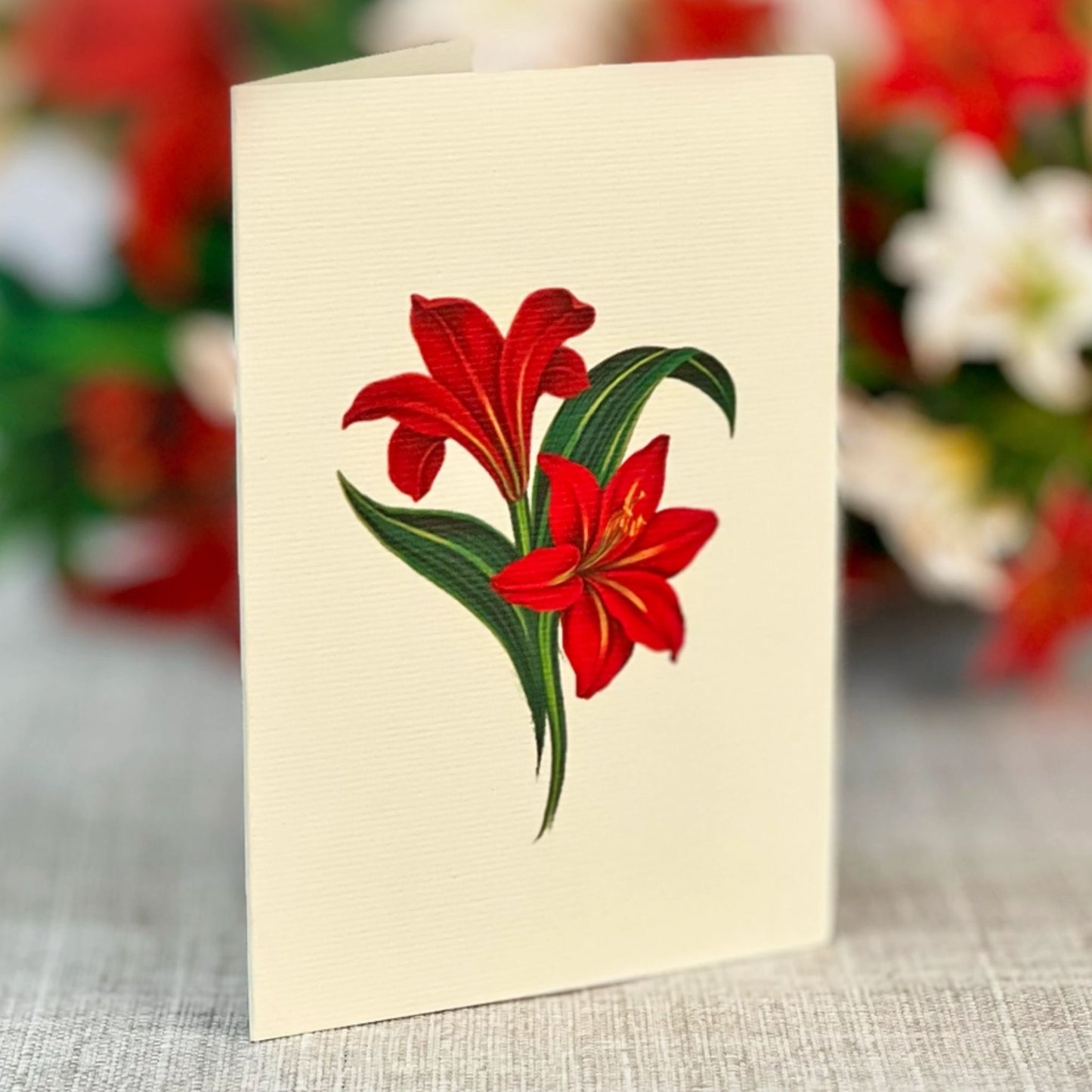 Winter Joy red and green pop up floral miniature card