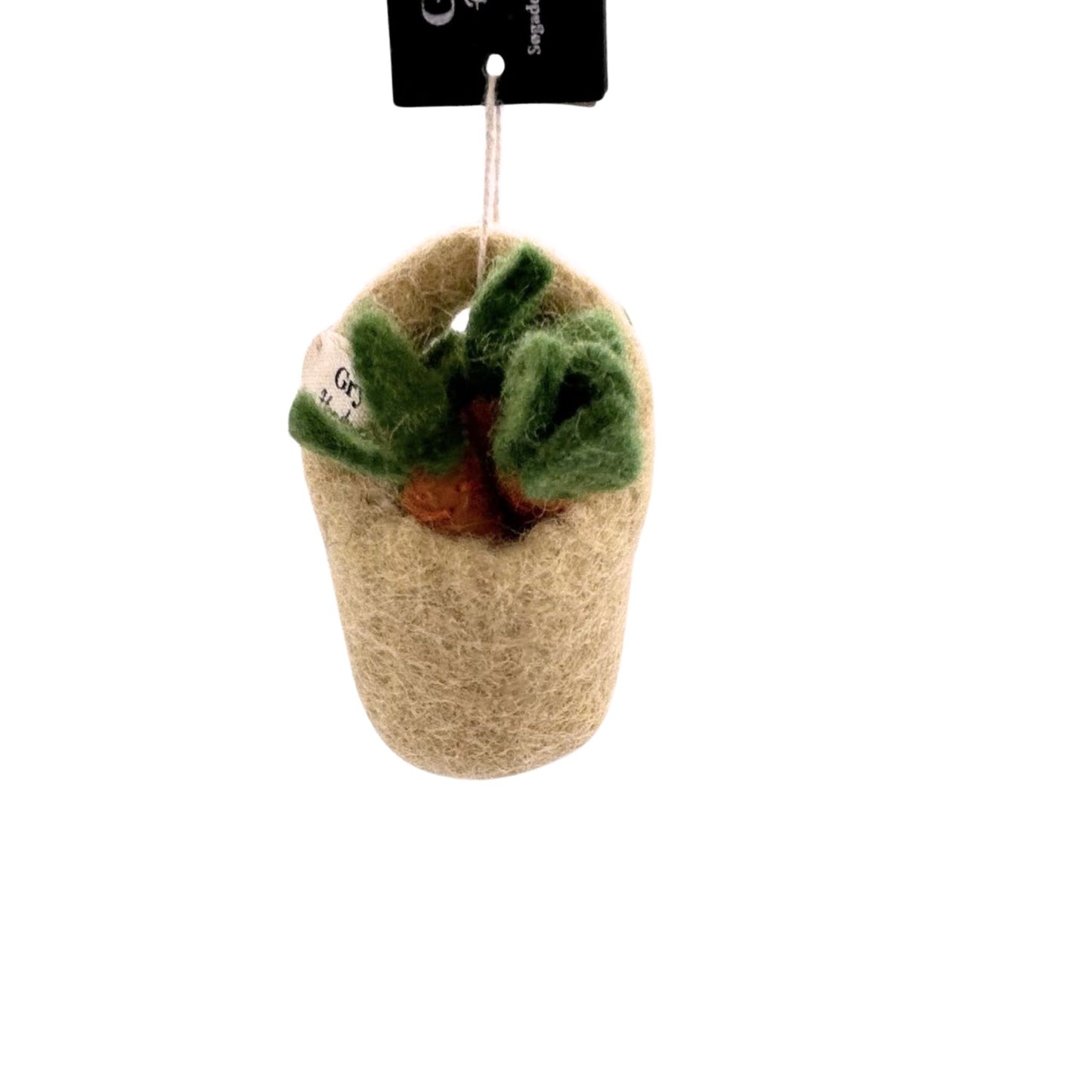 bucket with carrots