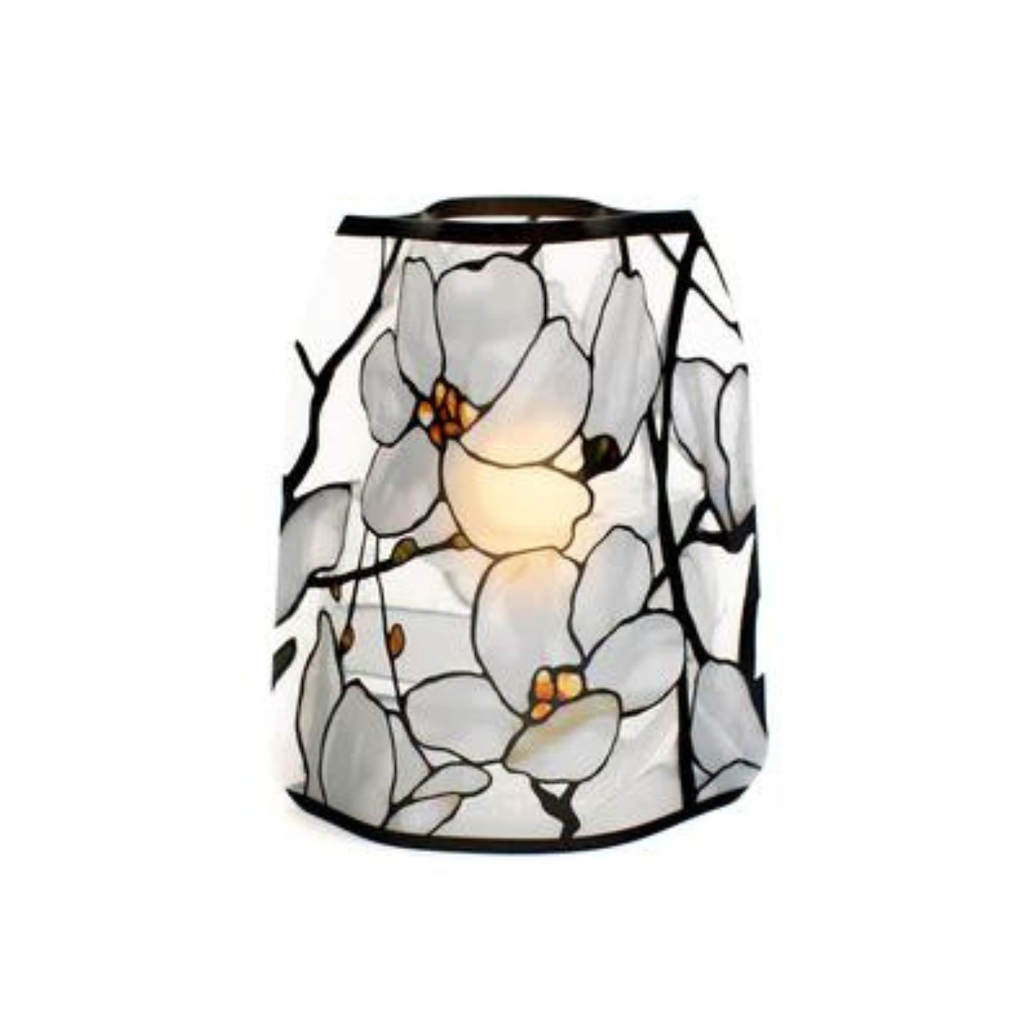 lantern magnolia white flowers