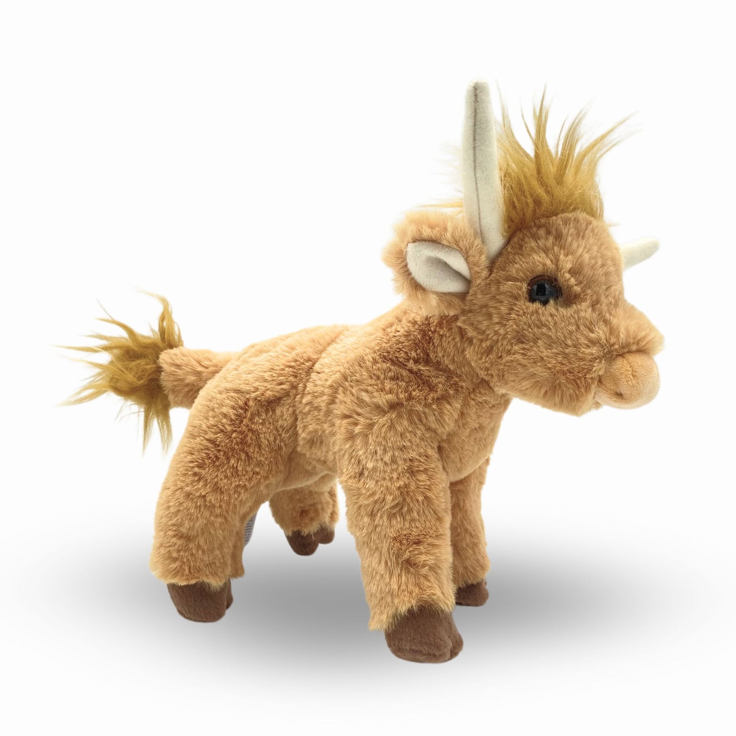 scotty the highland cow