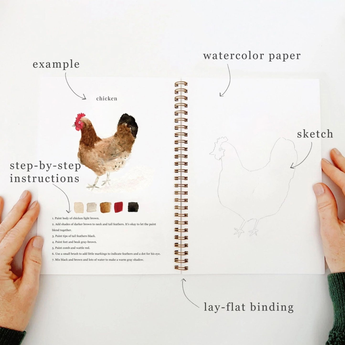 Animal Water Color Work Book