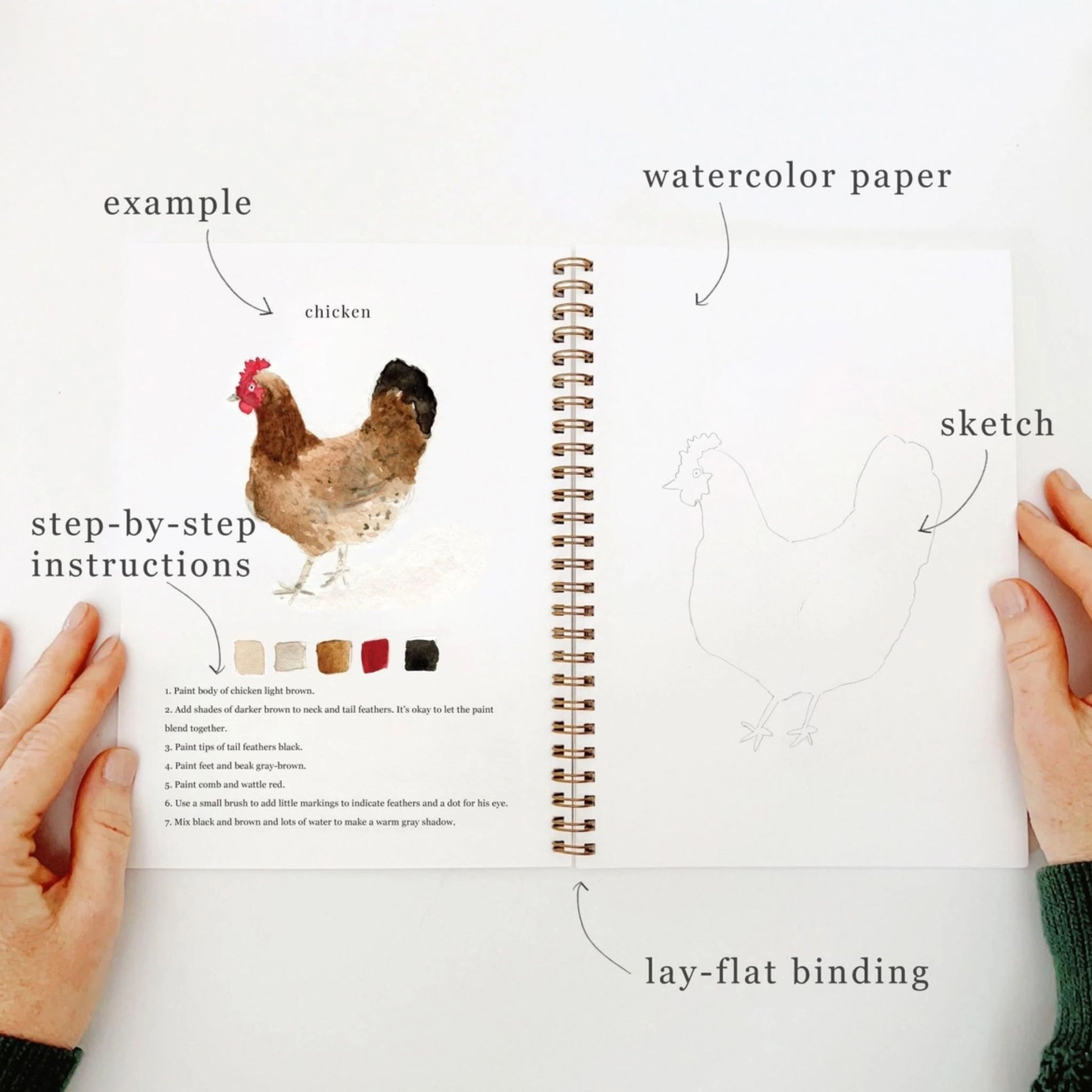 Animal Water Color Work Book