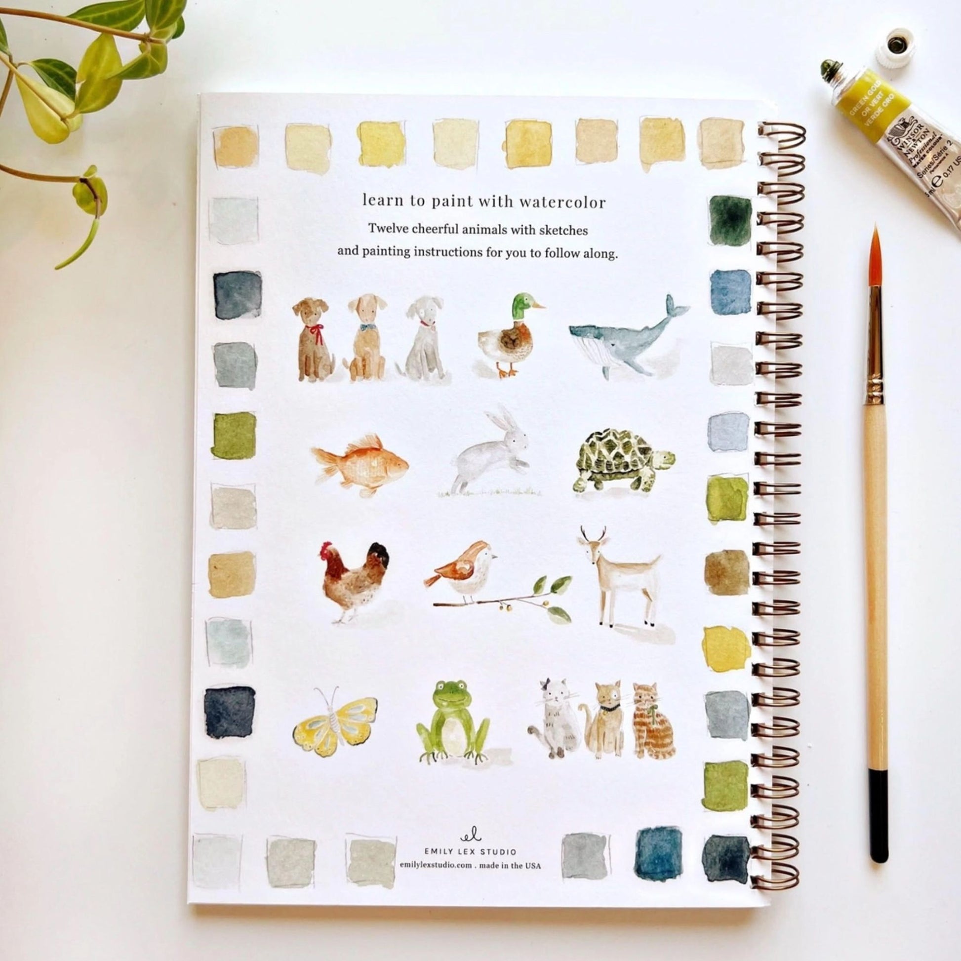 Animal Watercolor Book Emily Lex