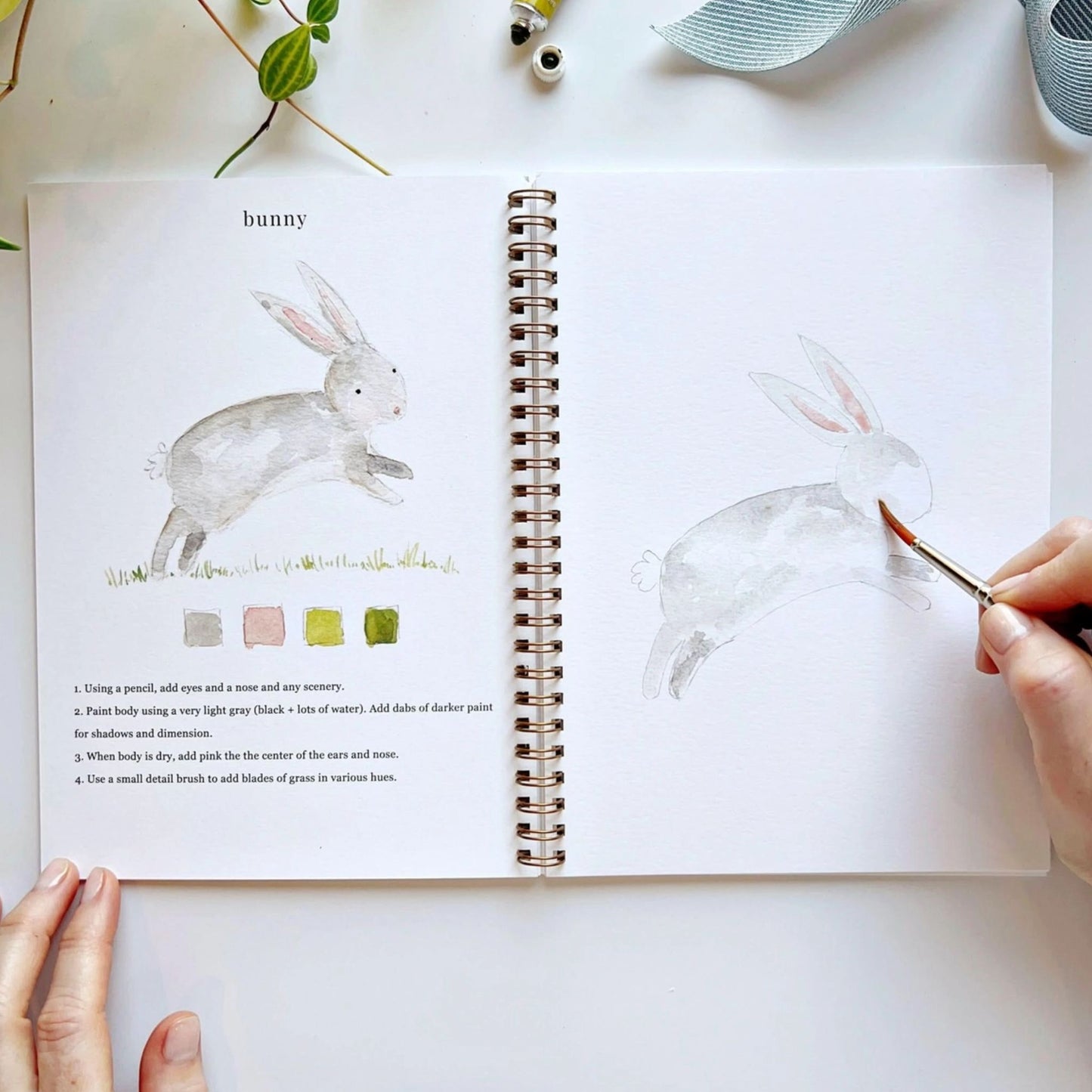 Animal Watercolor Workbook Activity