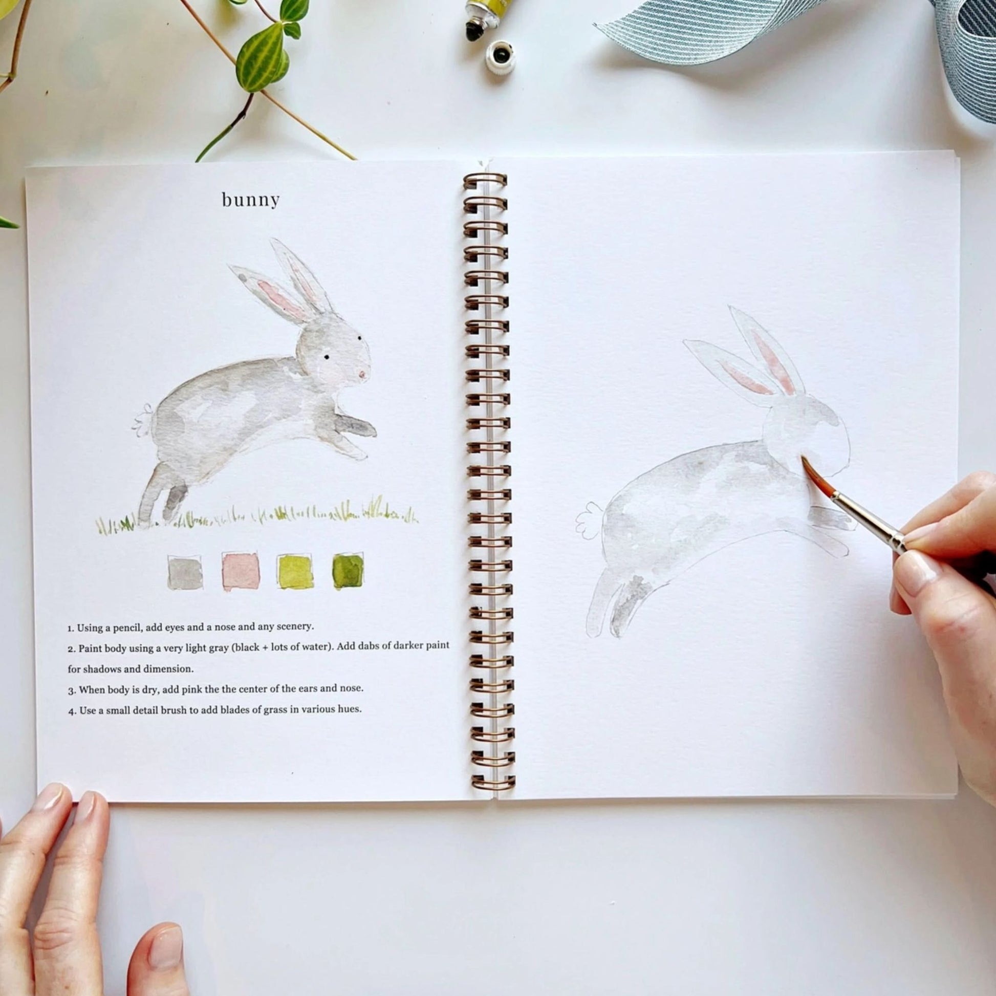 Animal Watercolor Workbook Activity