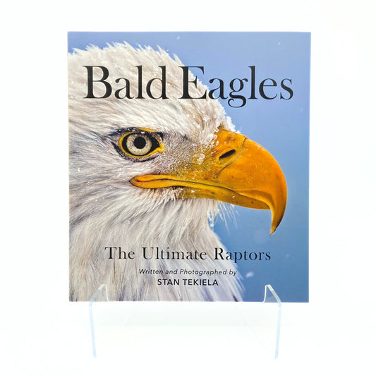 Bald Eagles The Ultimate Raptors Book