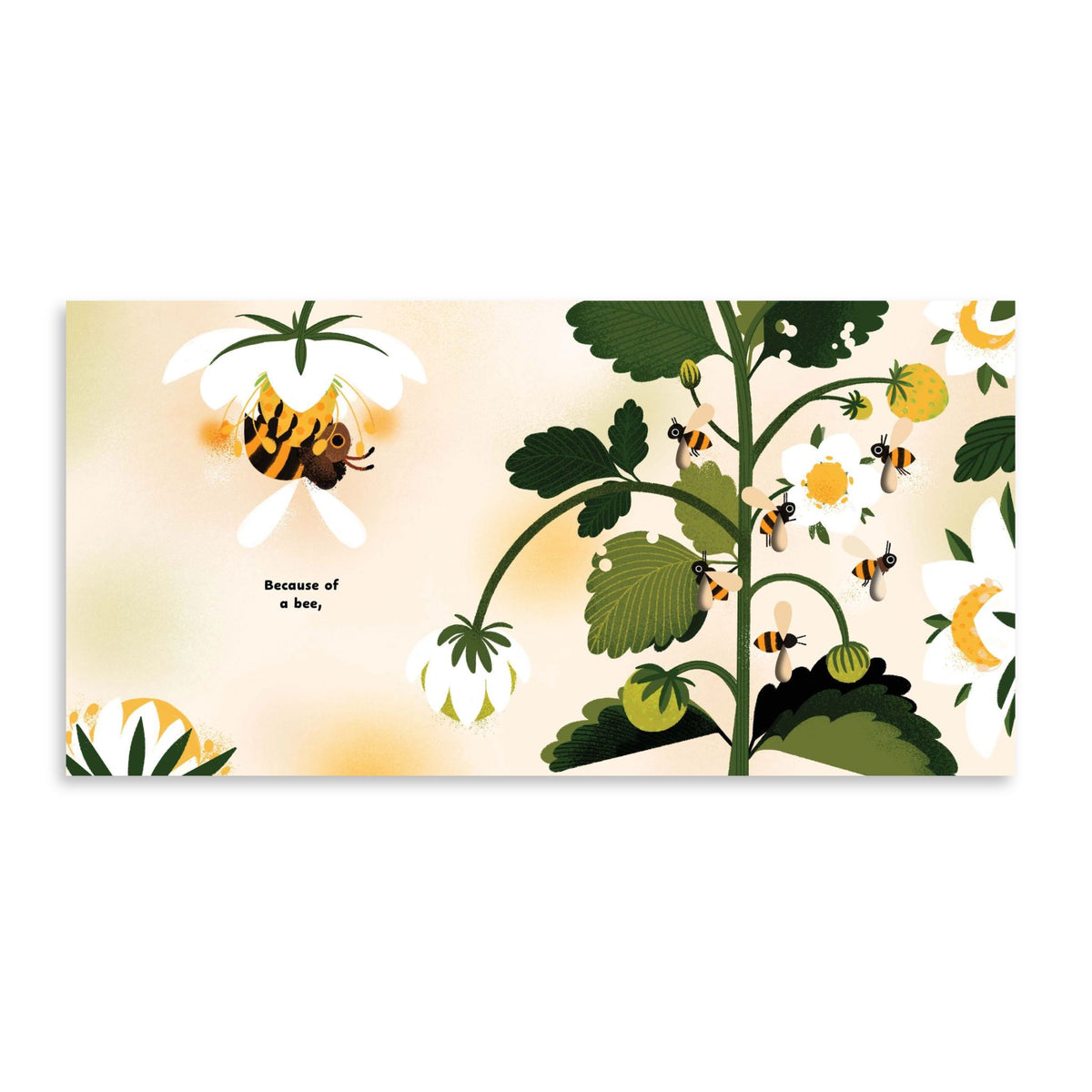 Because of a Bee - Lola M Schaefer