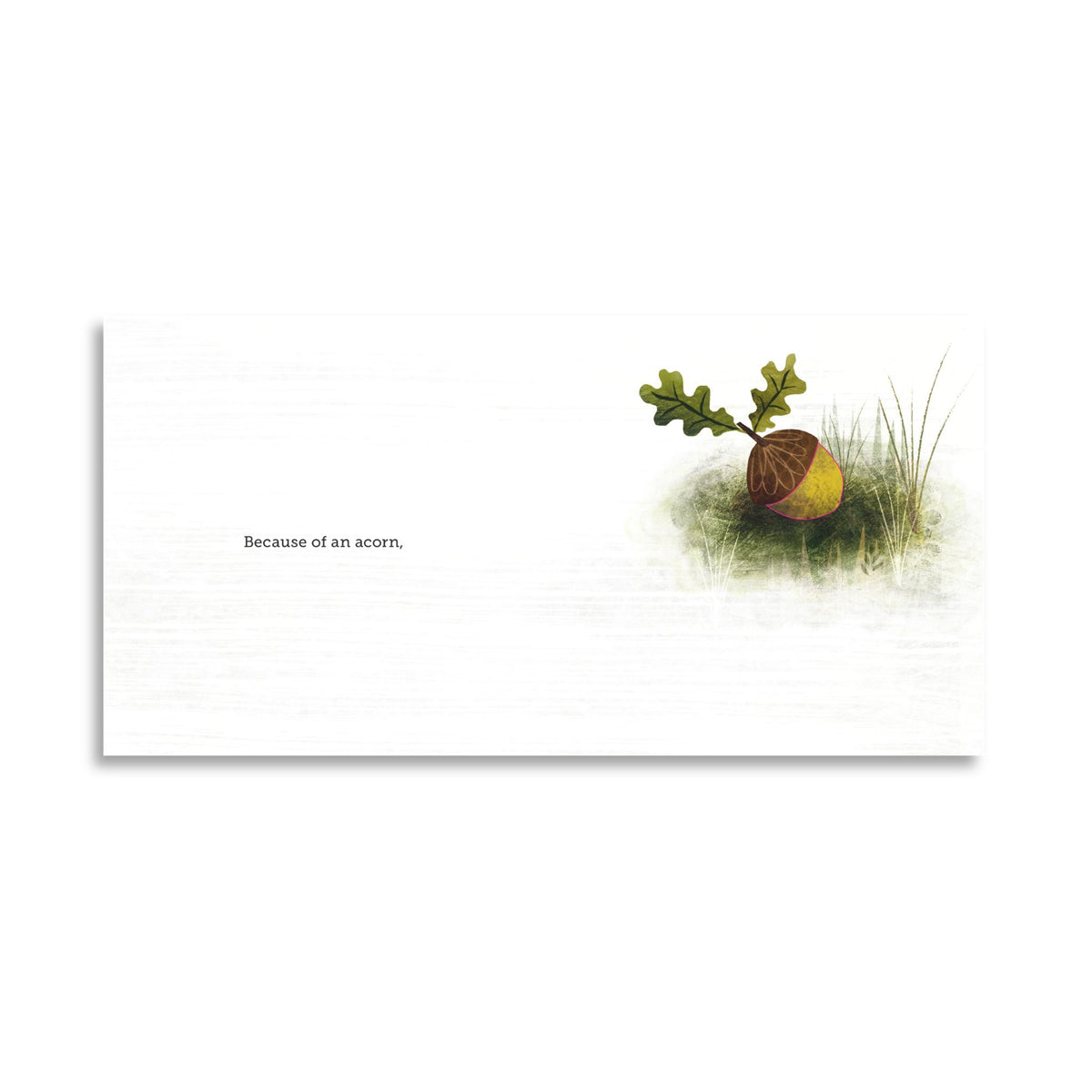 Because of an Acorn - Book