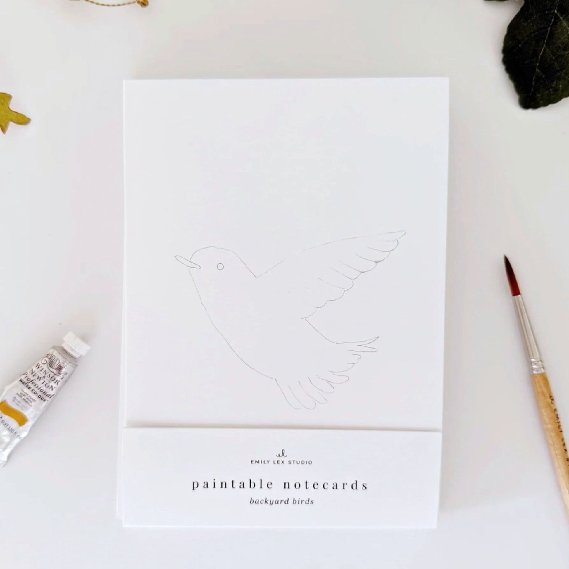 Birds Paintable Watercolor Notecard Bird Loving Gift