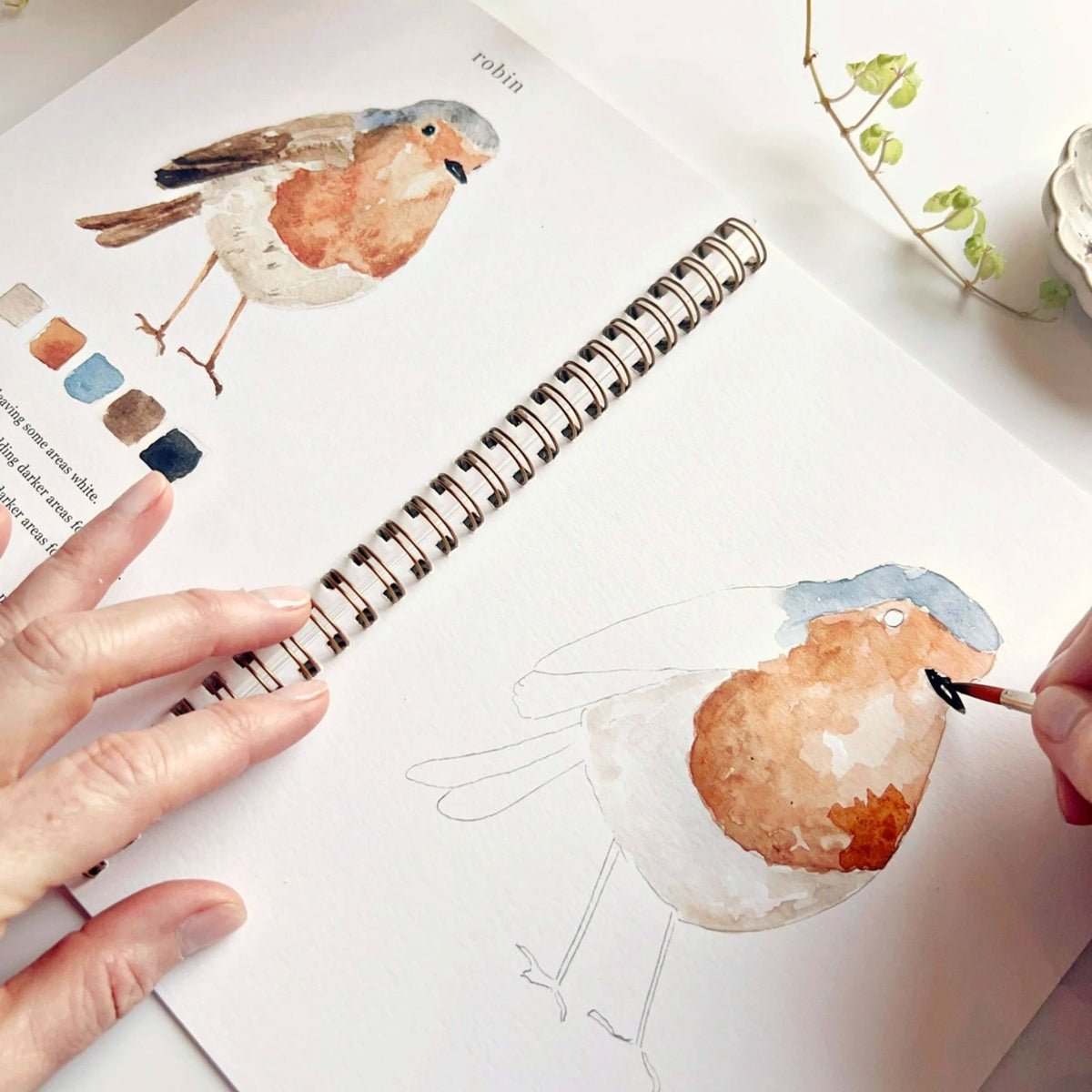 Birds Water Color Book Emily Lex