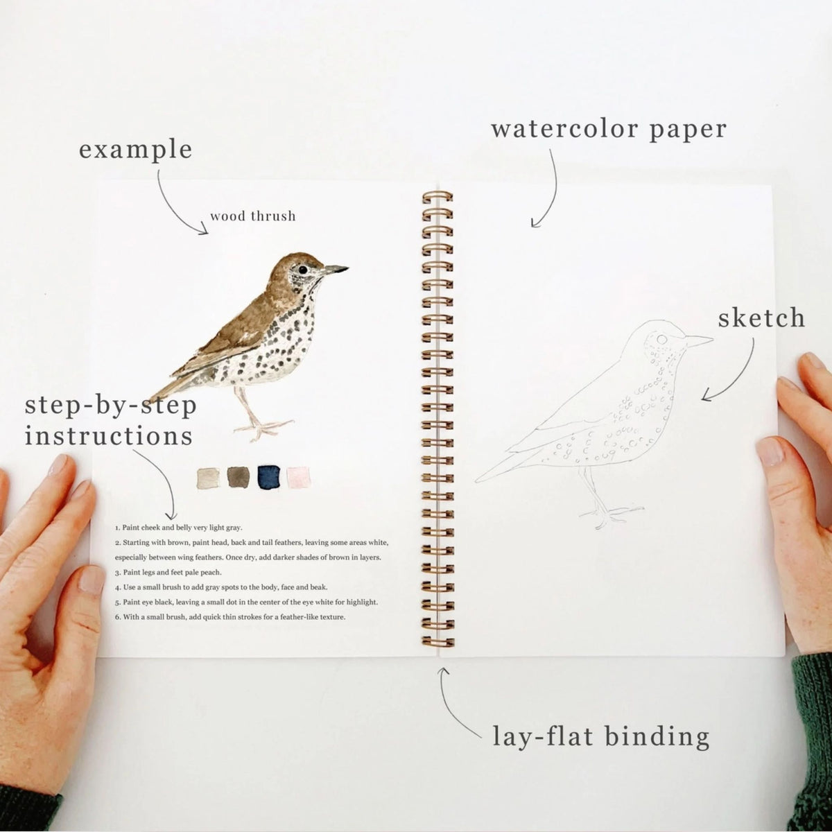 Birds Water Color Work Book