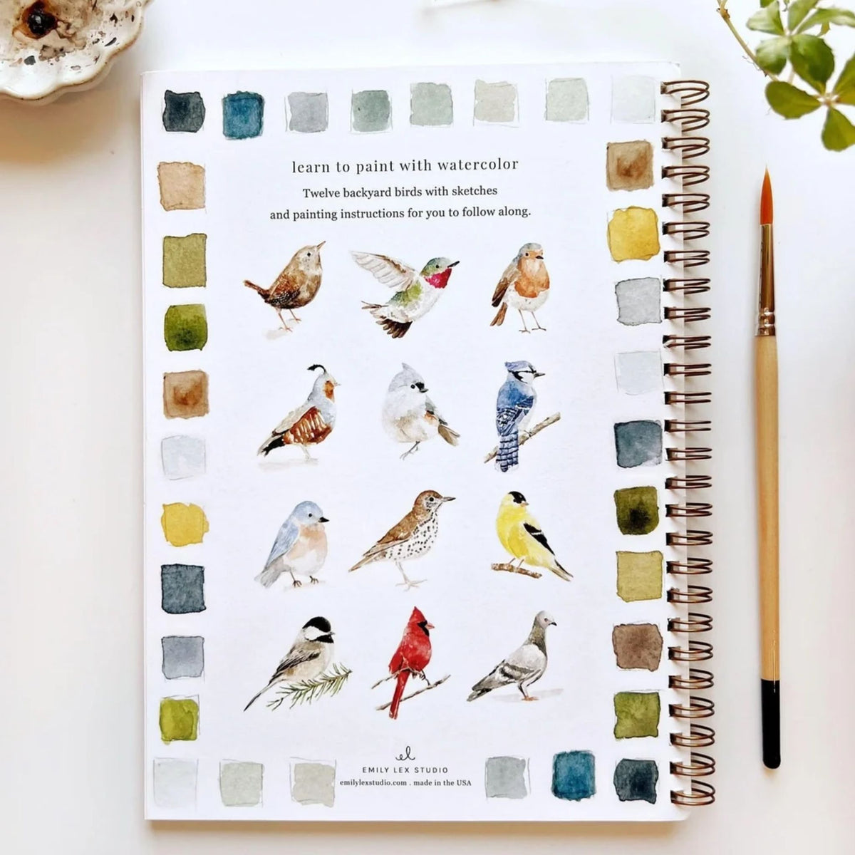 Birds Watercolor Spiral Workbook