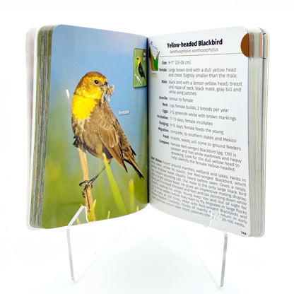 Birds of Wisconsin - book