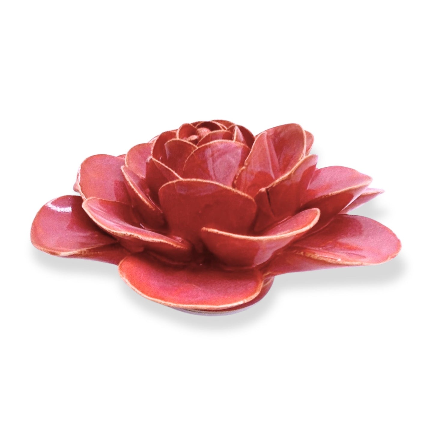 Blush Pink Begonia Wall Hanging