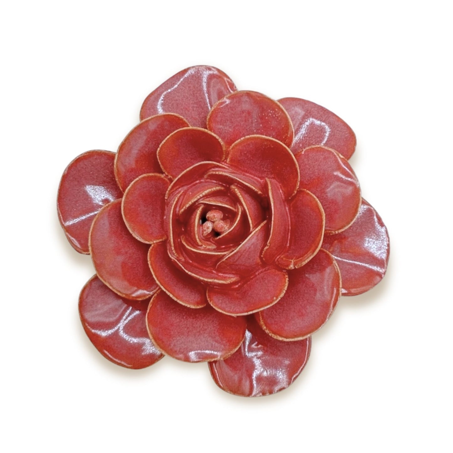 Blush Pink Begonia