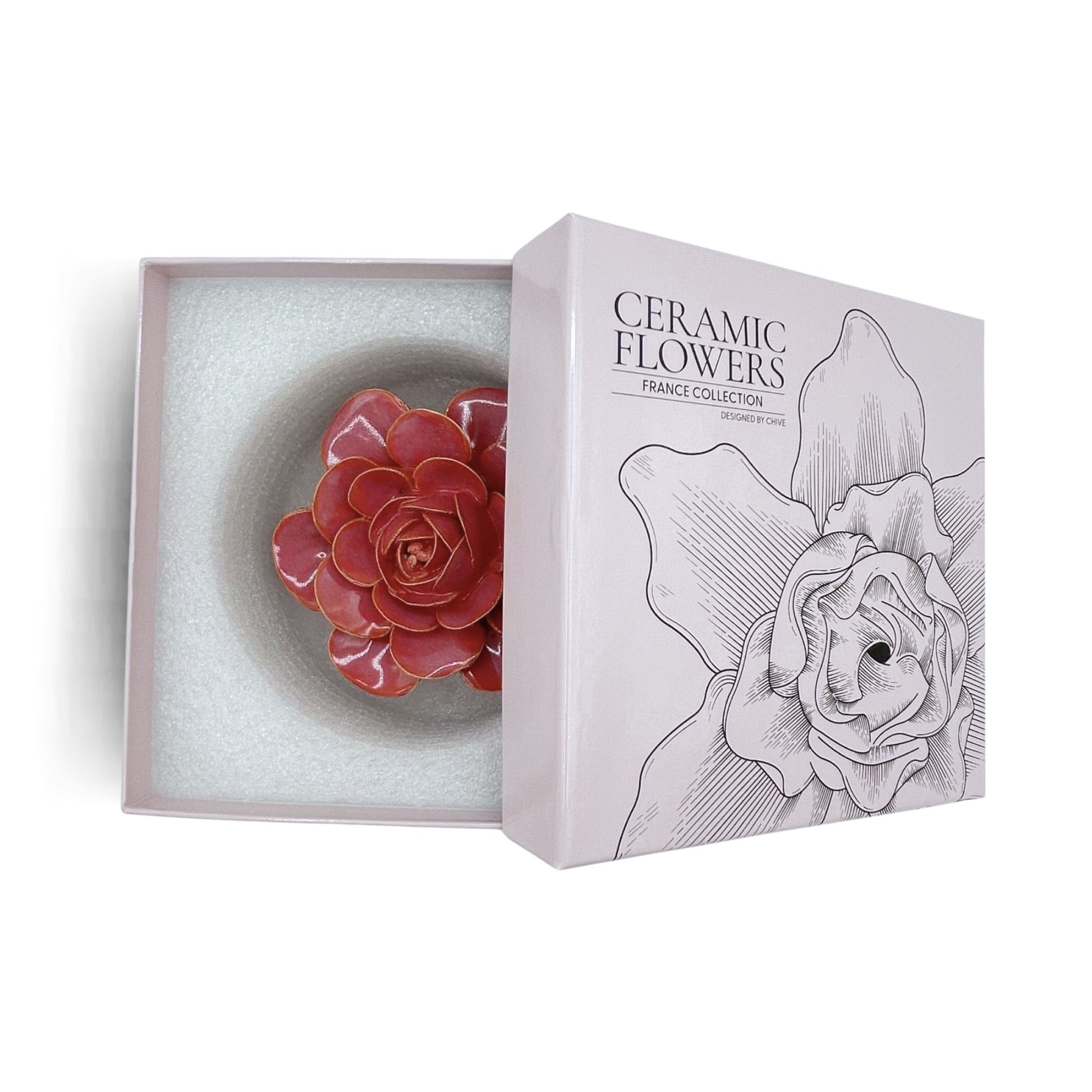Blush Pink Begonia Floral