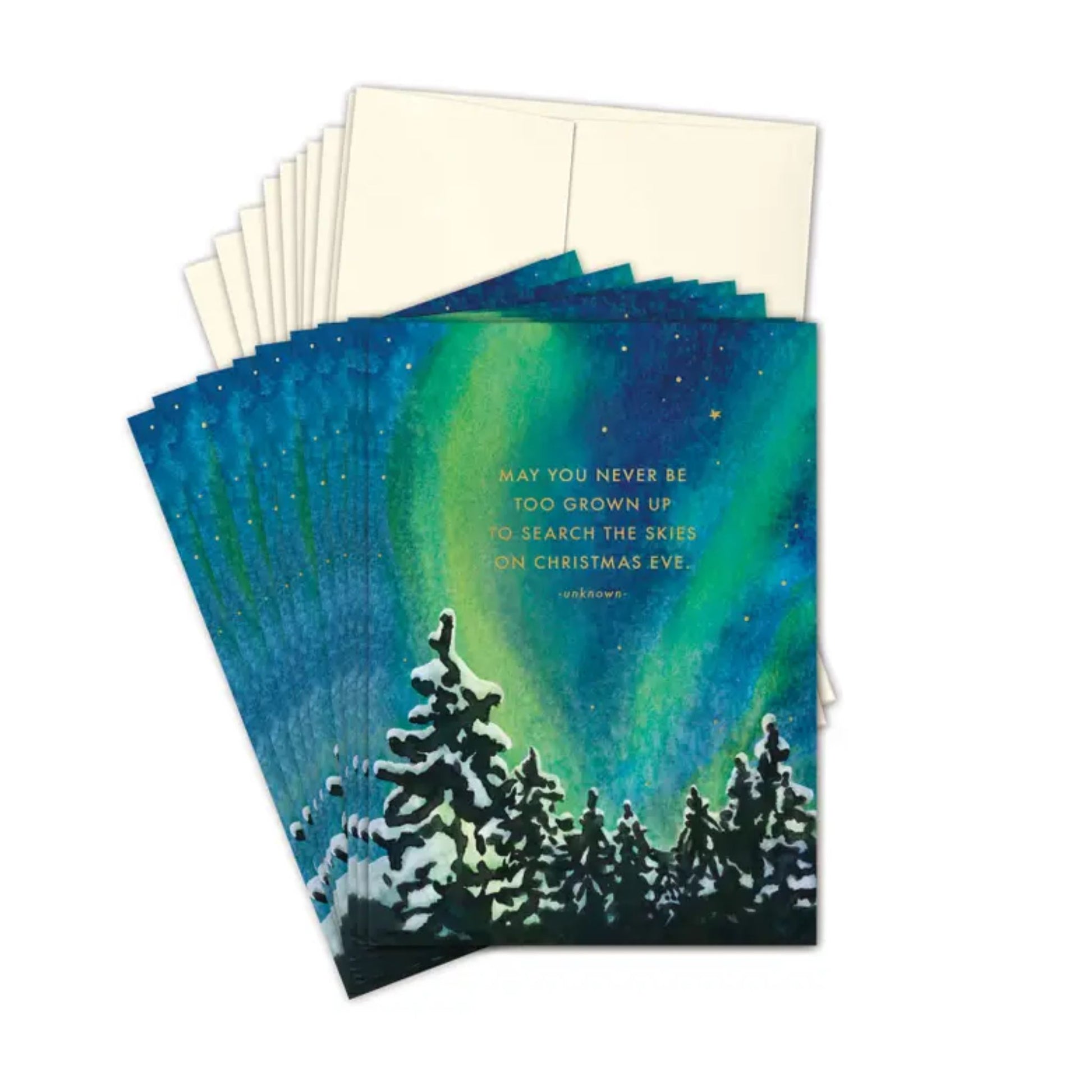 Boxed Search for the skies holiday cards