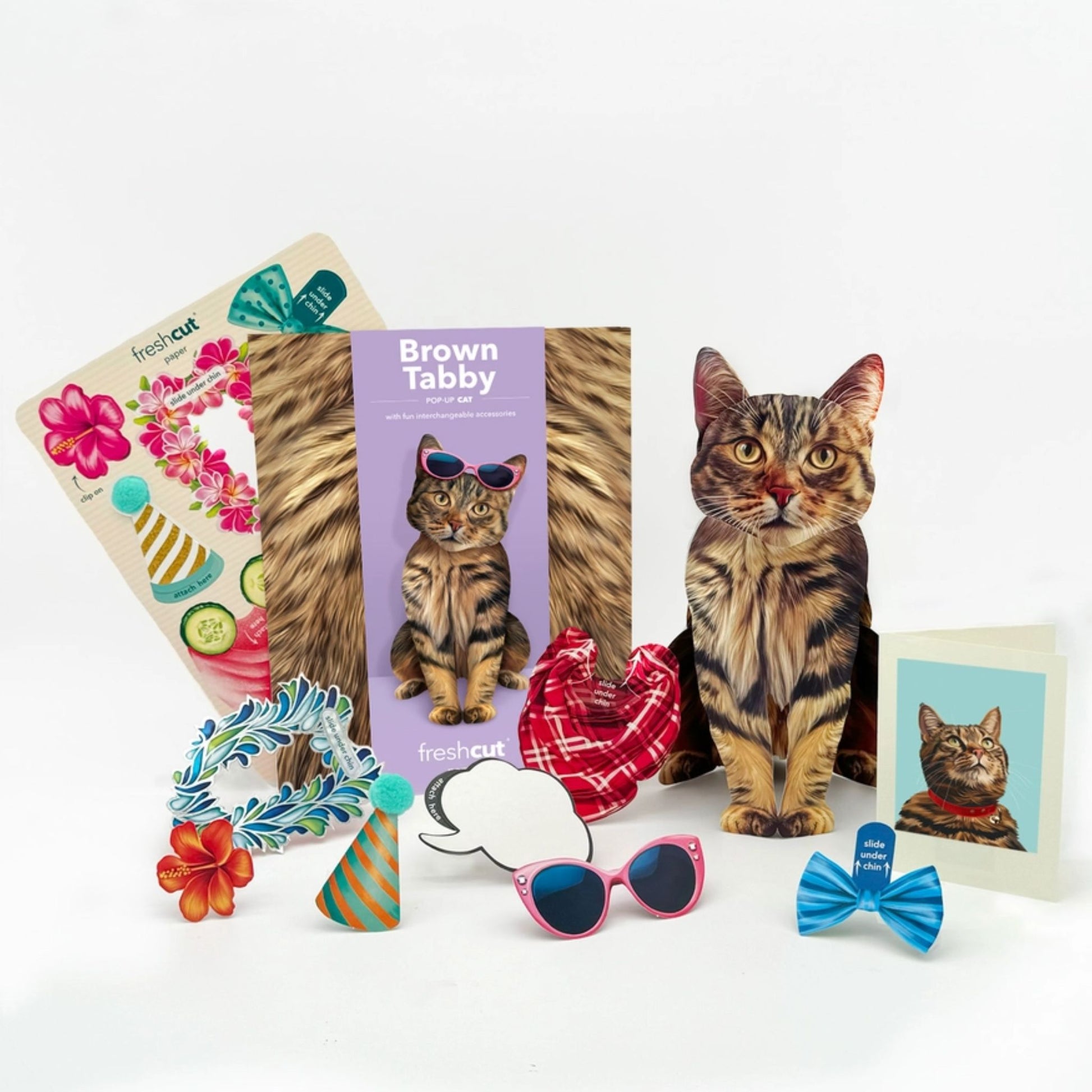 Brown Tabby Cat Greeting Card with Accessories