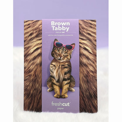 Brown Tabby Pop Up Greeting Card