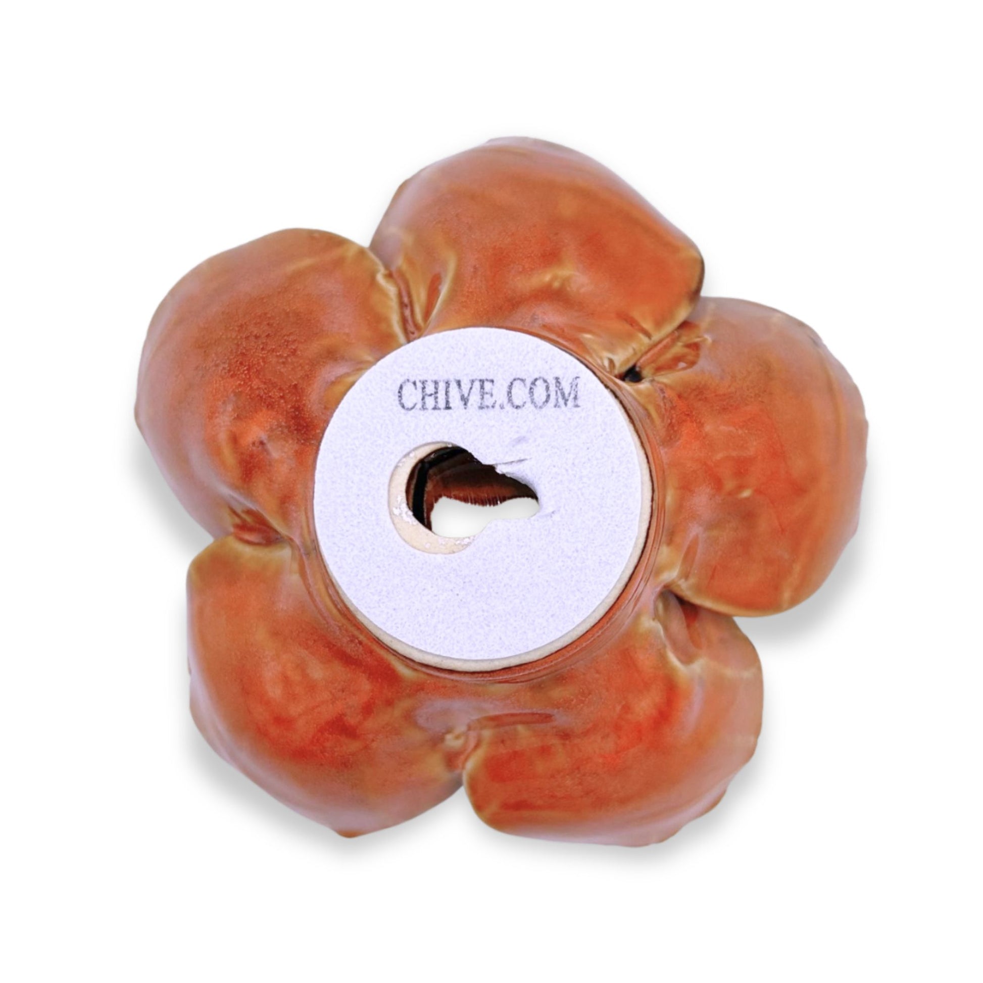 Burnt Orange Poppy