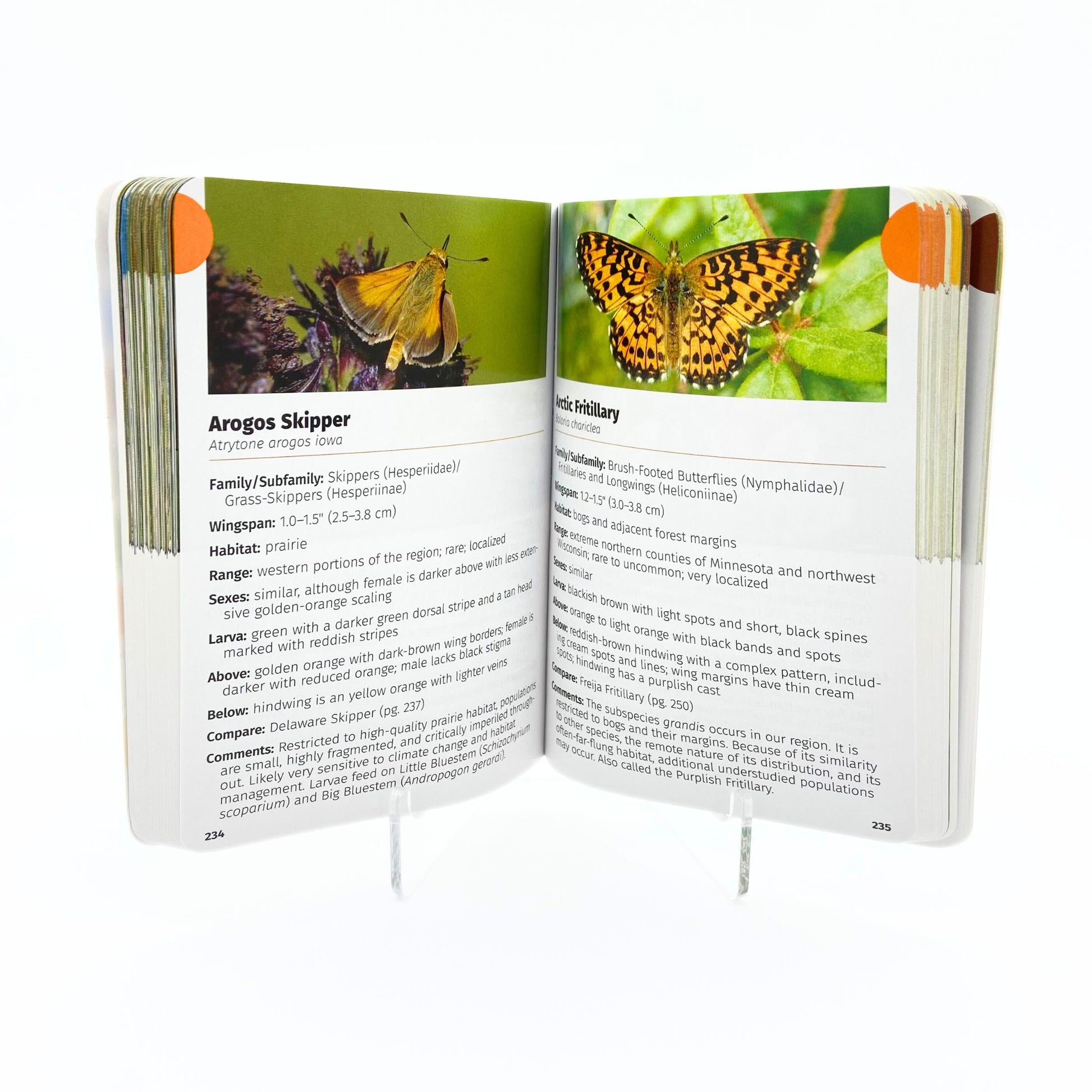 Butterflies of the Midwest field guide Book