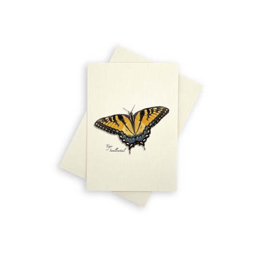 Butterfly Notecard Boxed Set