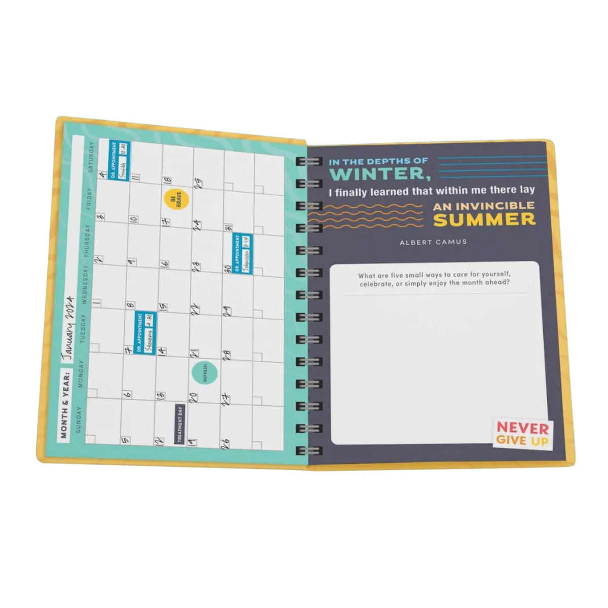 Cancer Planner Monthly and Weekly
