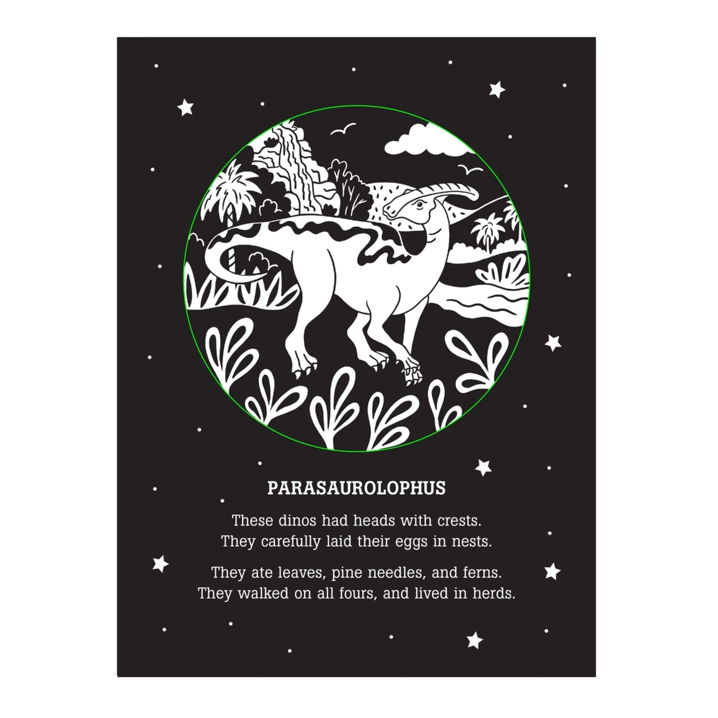 Dinos After Dark Flash Light Book