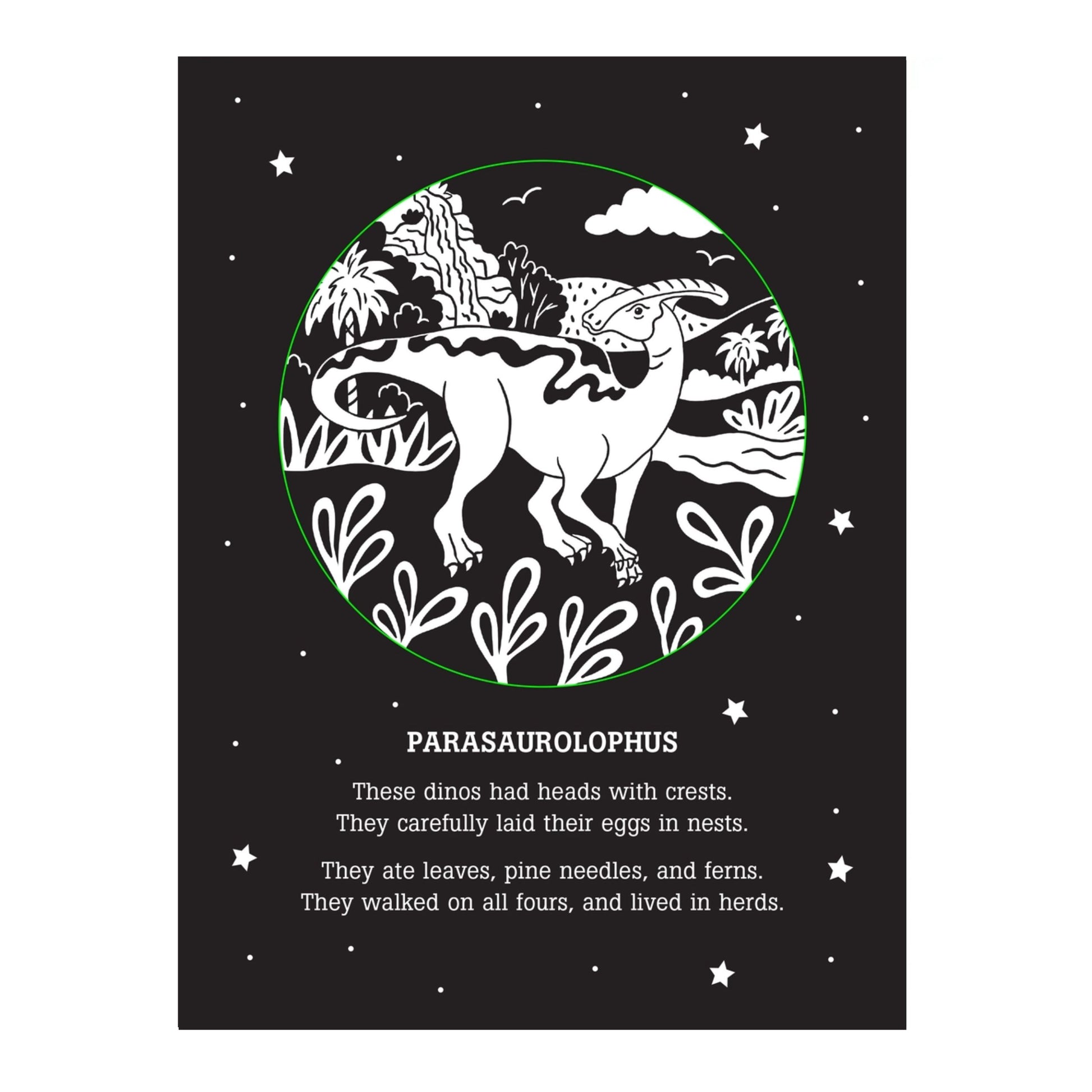 Dinos After Dark Flash Light Book