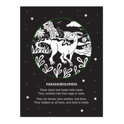 Dinos After Dark Flash Light Book