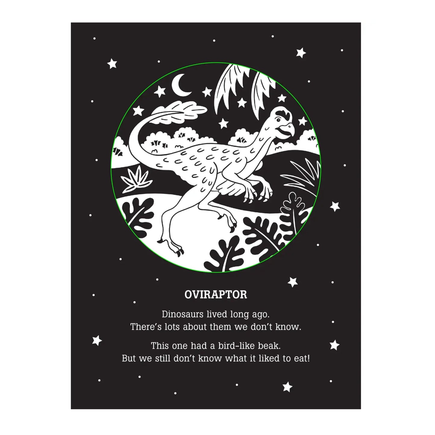 Dinos After Dark Flashlight Book
