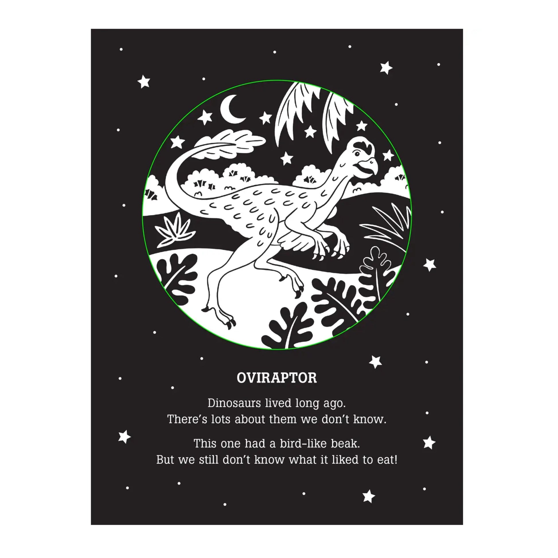 Dinos After Dark Flashlight Book