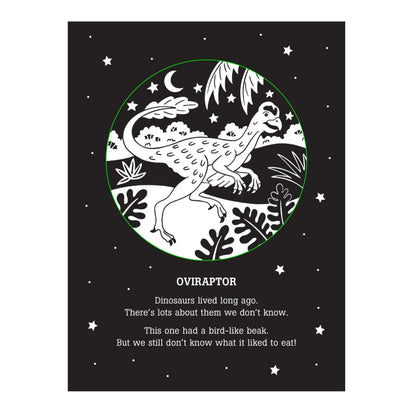 Dinos After Dark Flashlight Book